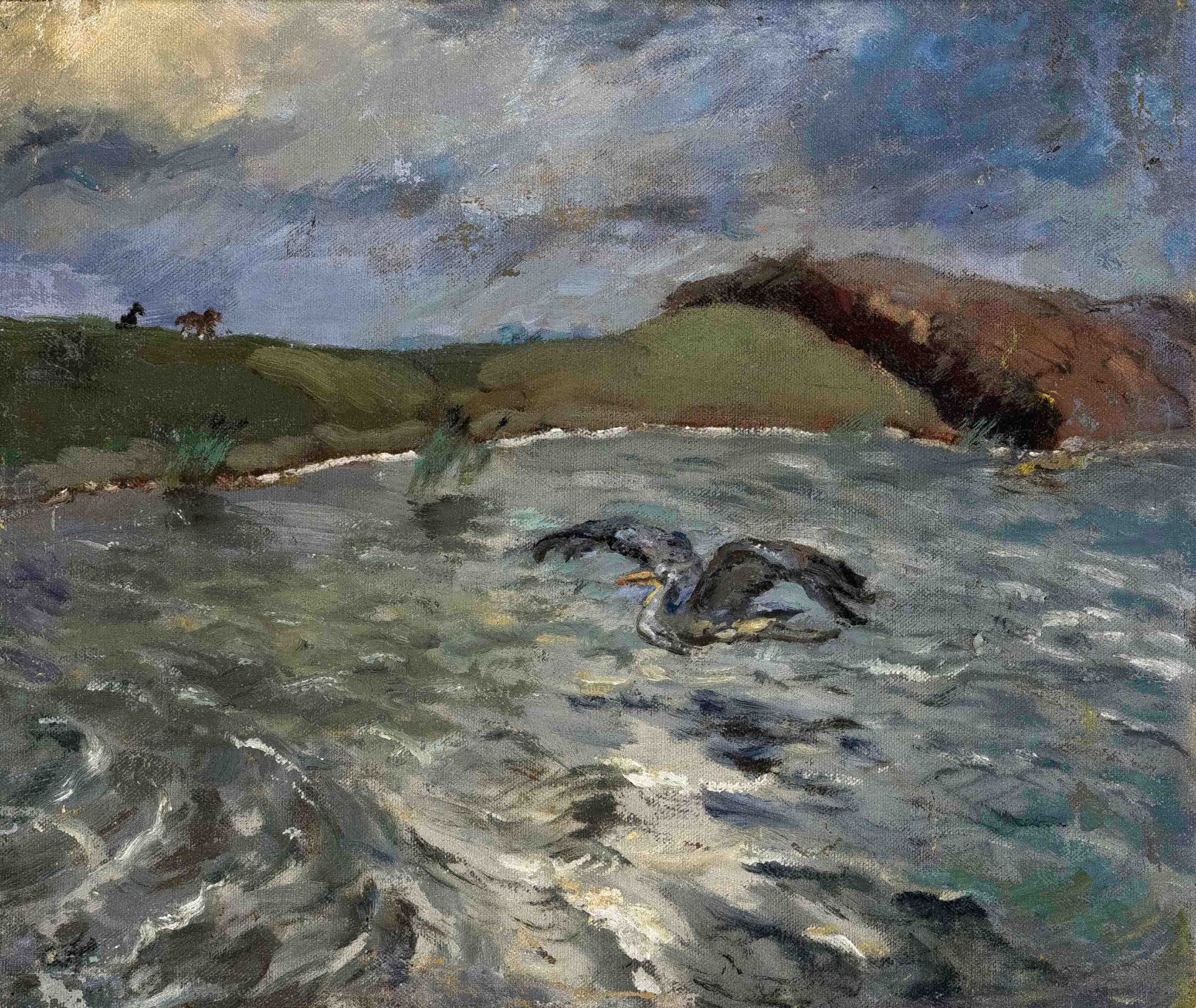 Focke, Wilhelm H. 1878 - Bremen - 1974. heron over water. 1930s. Oil/canvas mounted on cardboard,
