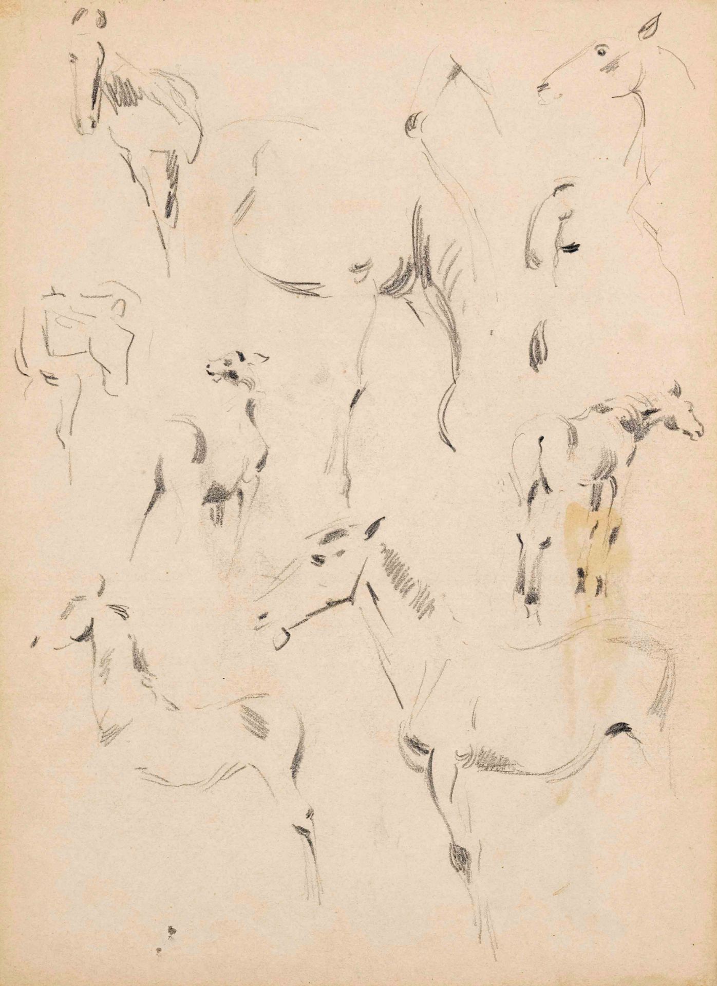 Focke, Wilhelm H. 1878 - Bremen - 1974. 2 pencil drawings/paper, horse studies, unsigned, 1) 1942- - Image 2 of 2