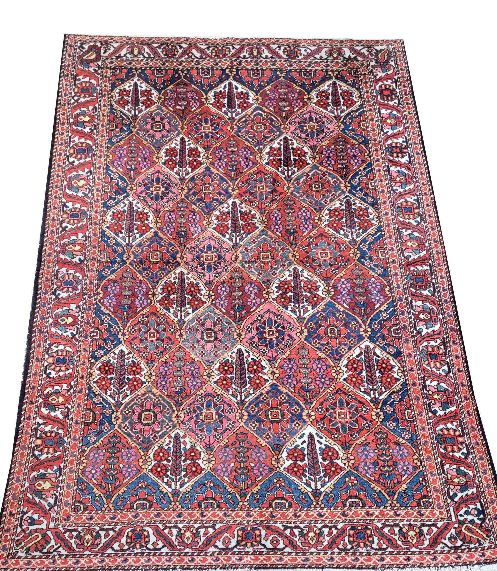 Carpet (Bakhtiar), even high pile, short fringes (please ask for size!)