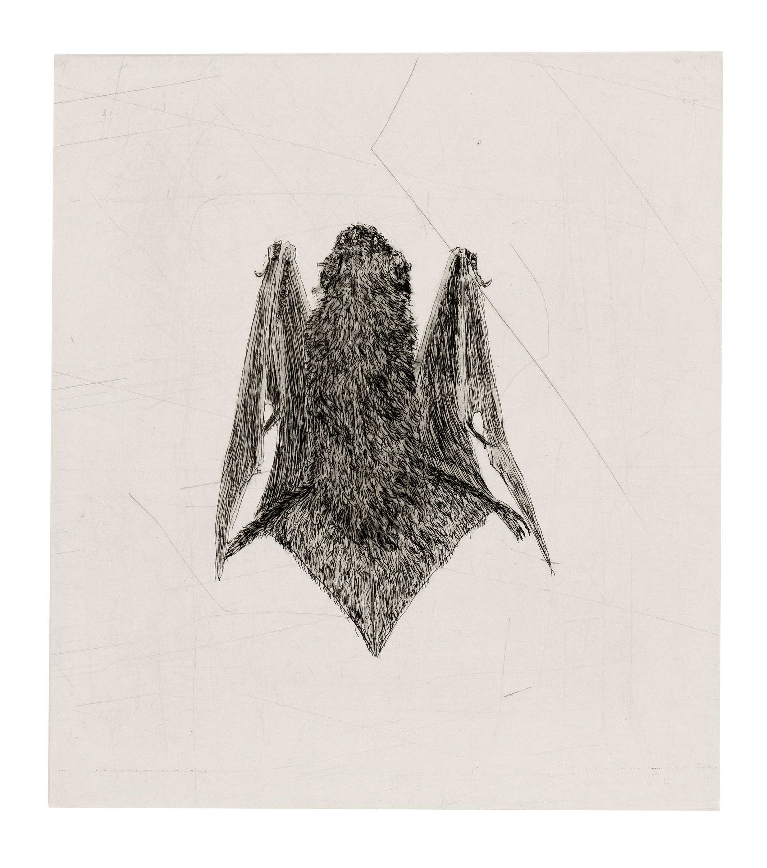 Smith, Kiki. 1954 Nuremberg - lives and works in New York. Bat. 2000. 2 etchings/velin, each