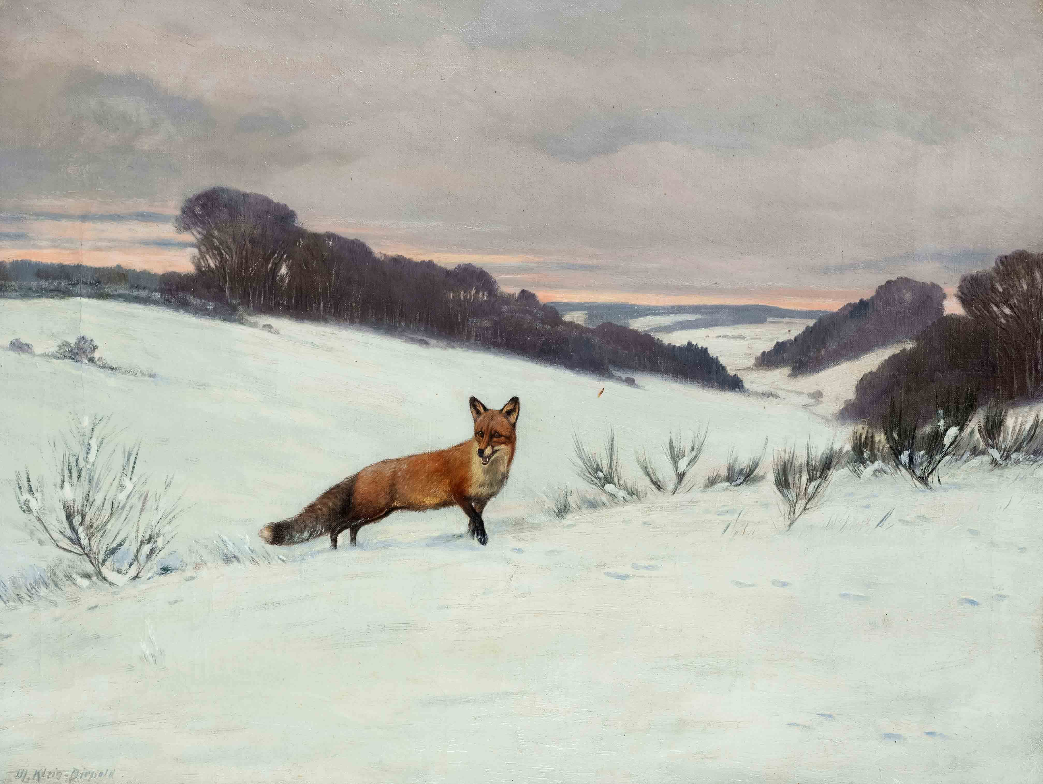 Maximilian Klein von Diepold (1873-1949), wide winter landscape in the evening light with fox in the