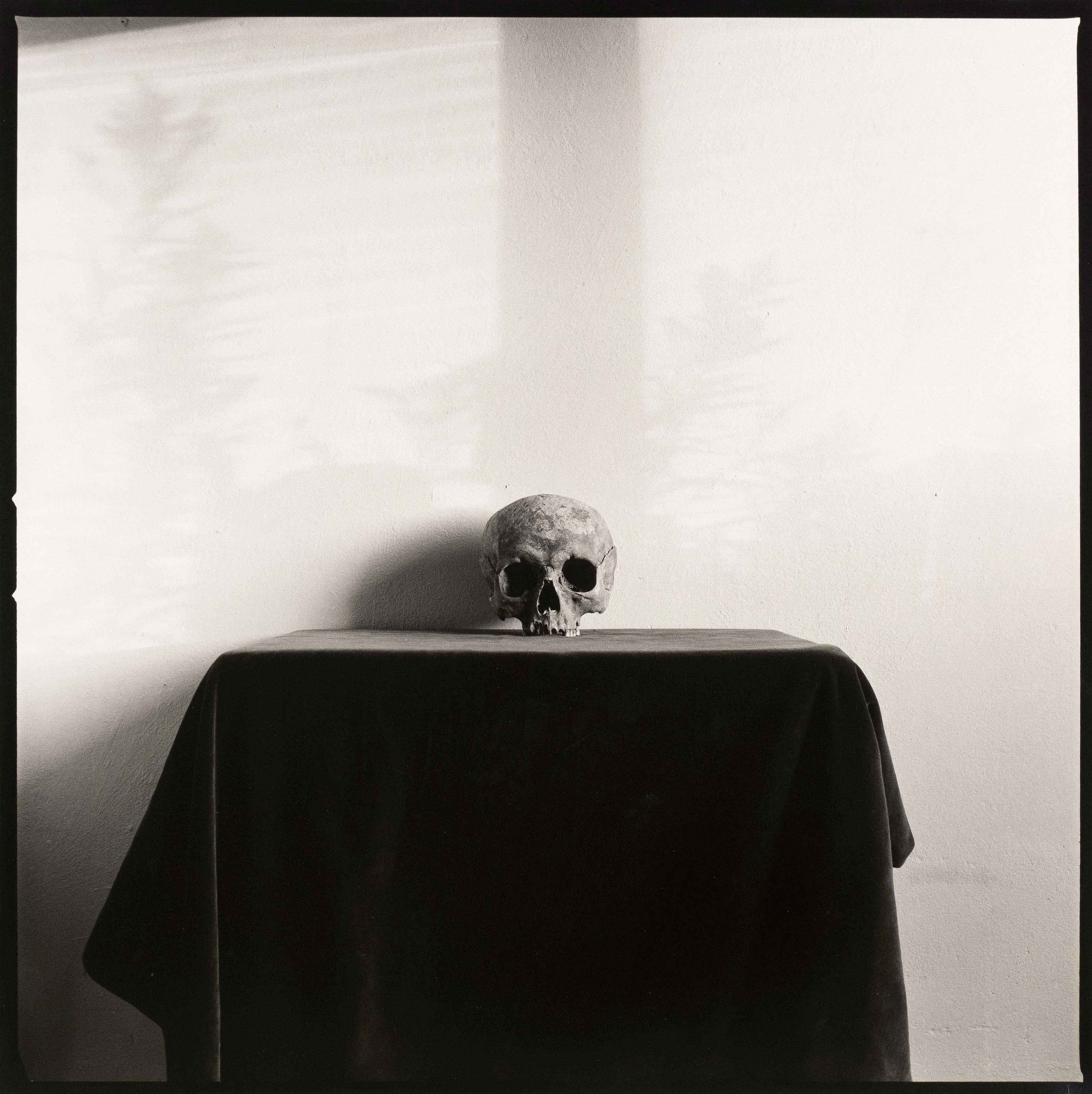 Bohnhoff, Andreas. 1946 Münster - lives and works in Bremen. Untitled [Still life with skull]. Black