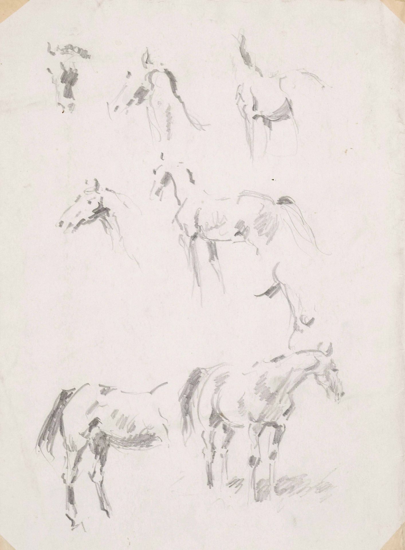 Focke, Wilhelm H. 1878 - Bremen - 1974. 2 pencil drawings/solid paper, horse studies, verso horse - Image 2 of 2