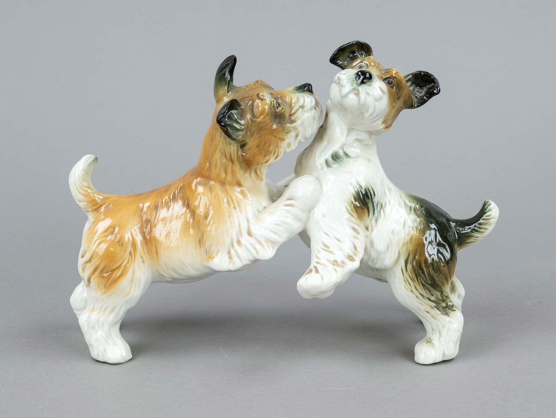 Two playing terriers, Karl Ens, Volkstedt, mill mark 1925-75, naturalistically painted, l. 22 cm