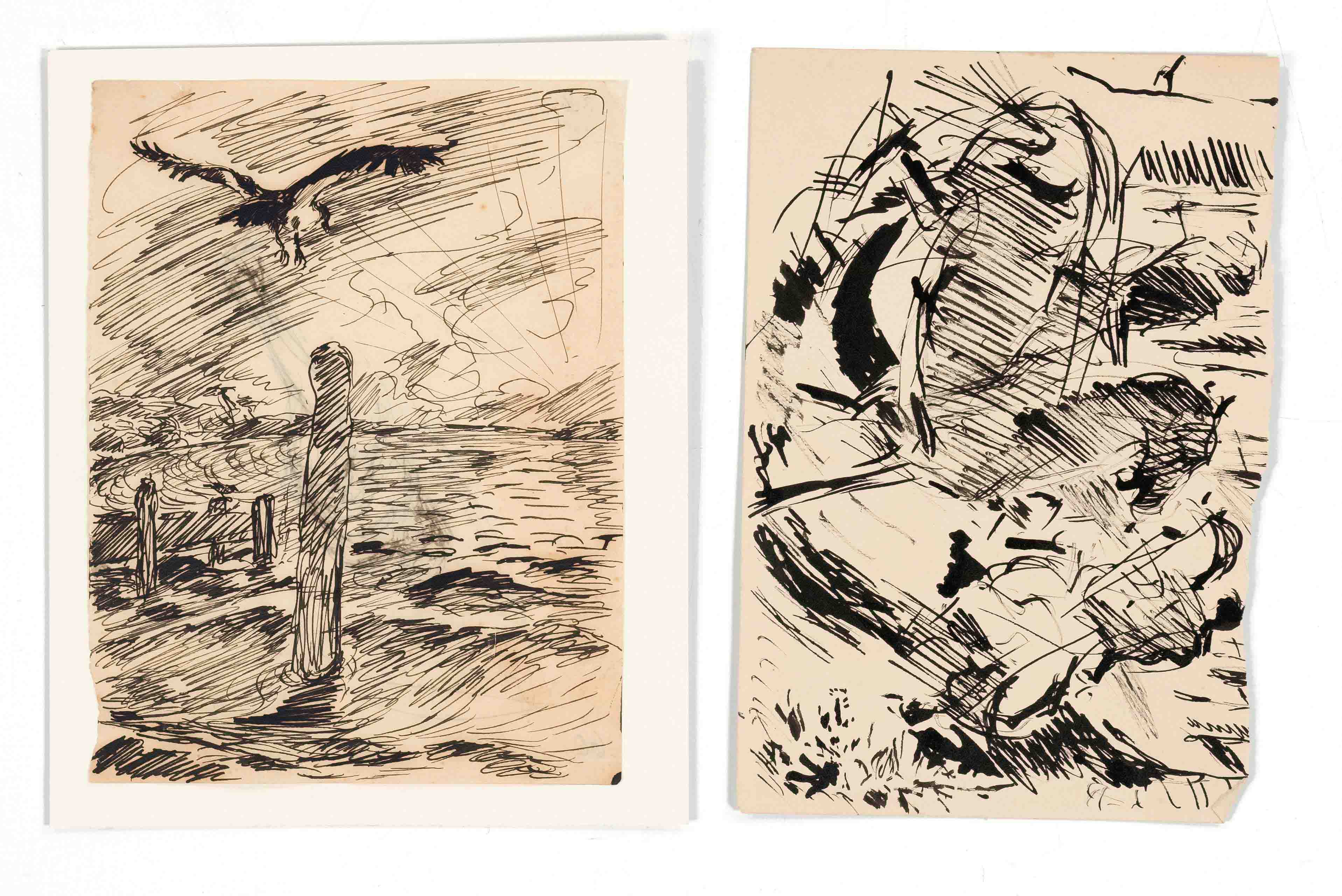 Focke, Wilhelm H. 1878 - Bremen - 1974. three ink pen drawings/paper. 1) Seagull over the water, - Image 2 of 2