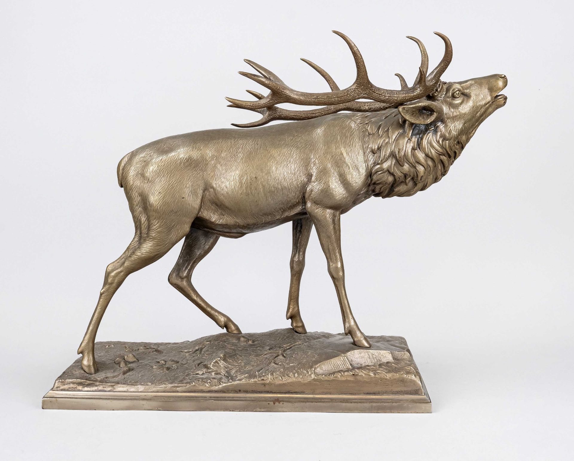 Sculptor 1st half 20th century, large roaring stag, gold patinated iron casting on rectangular