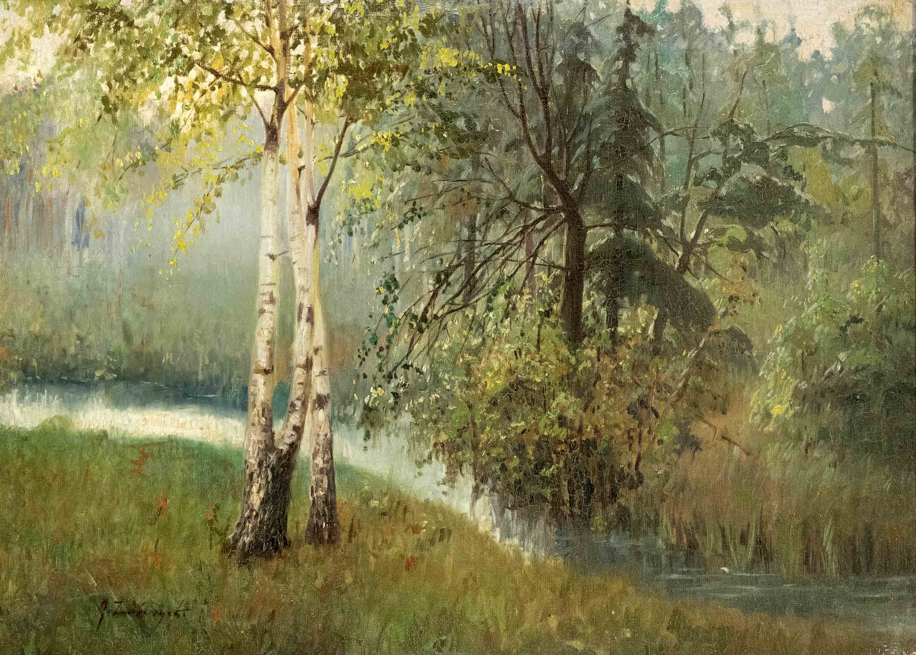 Unidentified, probably Polish artist c. 1900, Woodland with stream and birch trees, oil on canvas