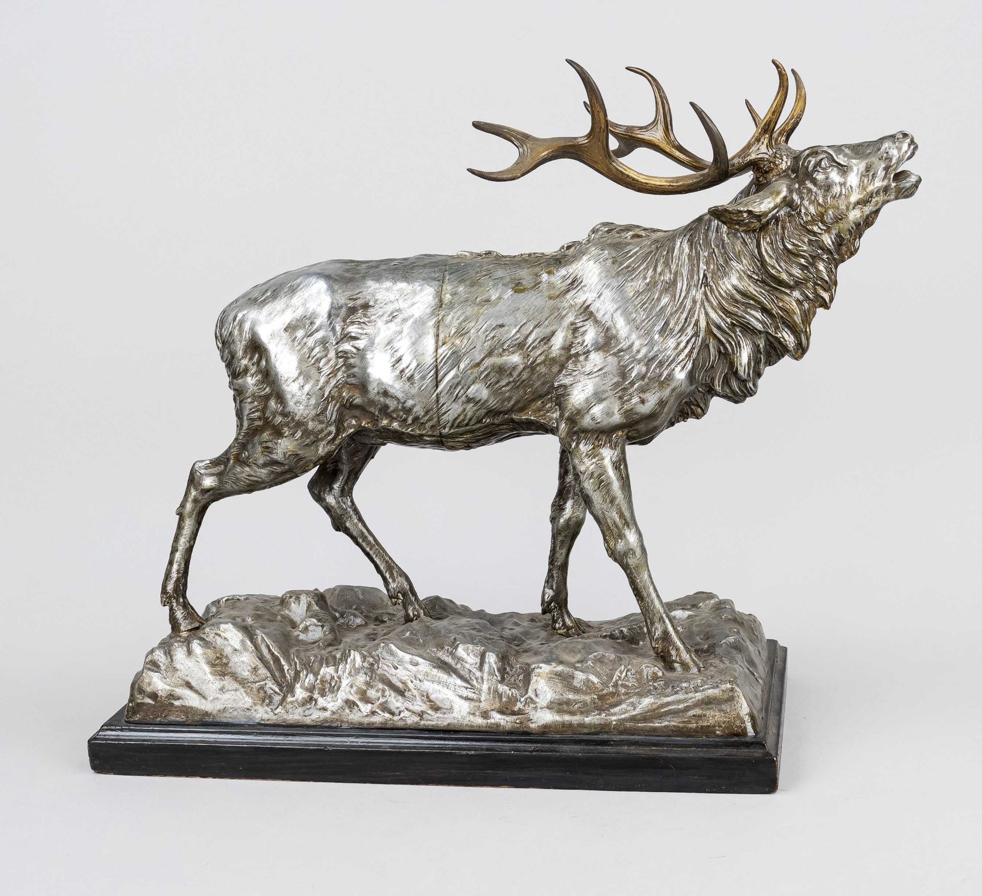 Sculptor c. 1900, large roaring stag, silver plated metal casting on terrain and wooden plinth,