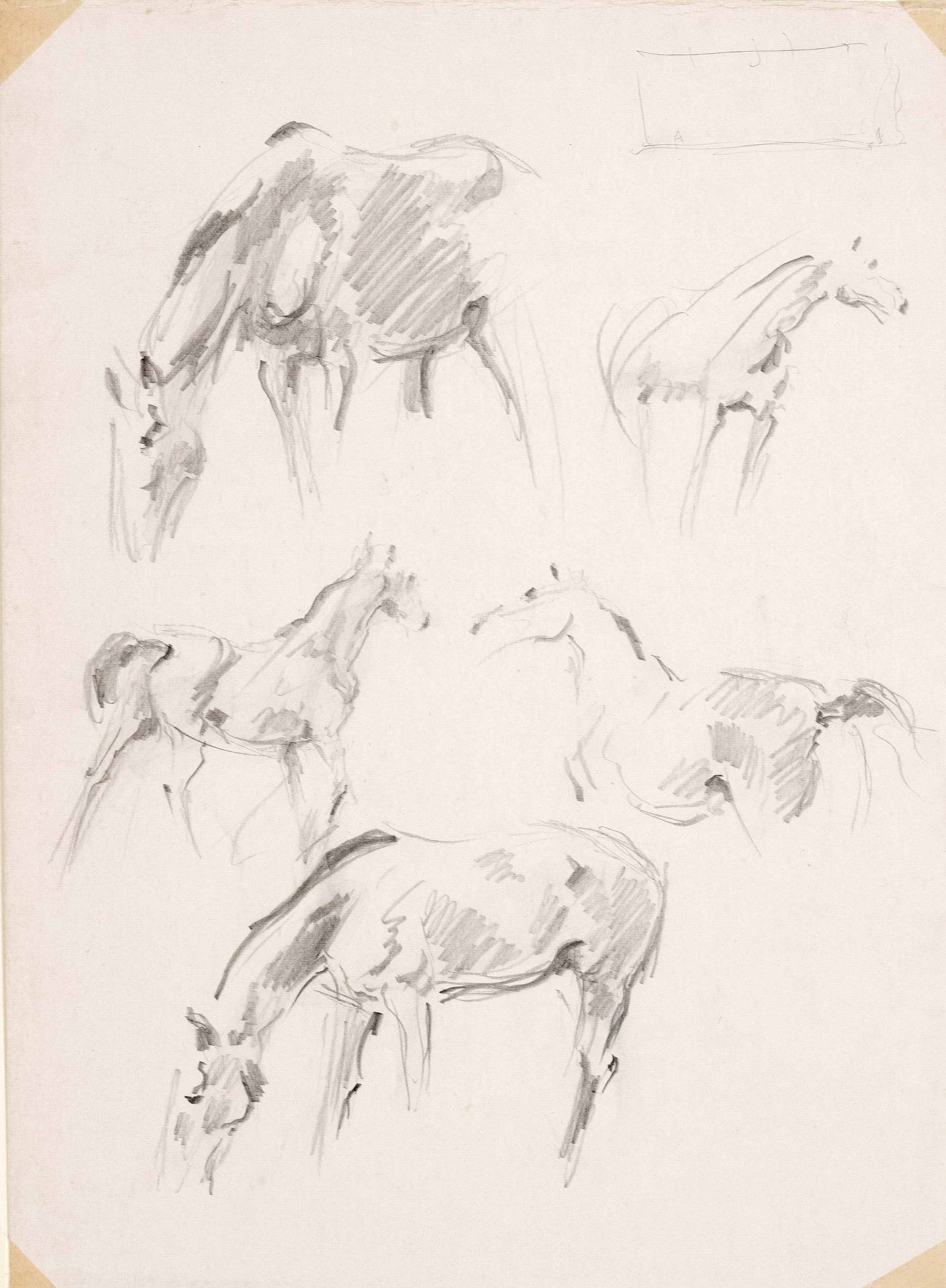 Focke, Wilhelm H. 1878 - Bremen - 1974. 2 pencil drawings/solid paper, horse studies, verso horse