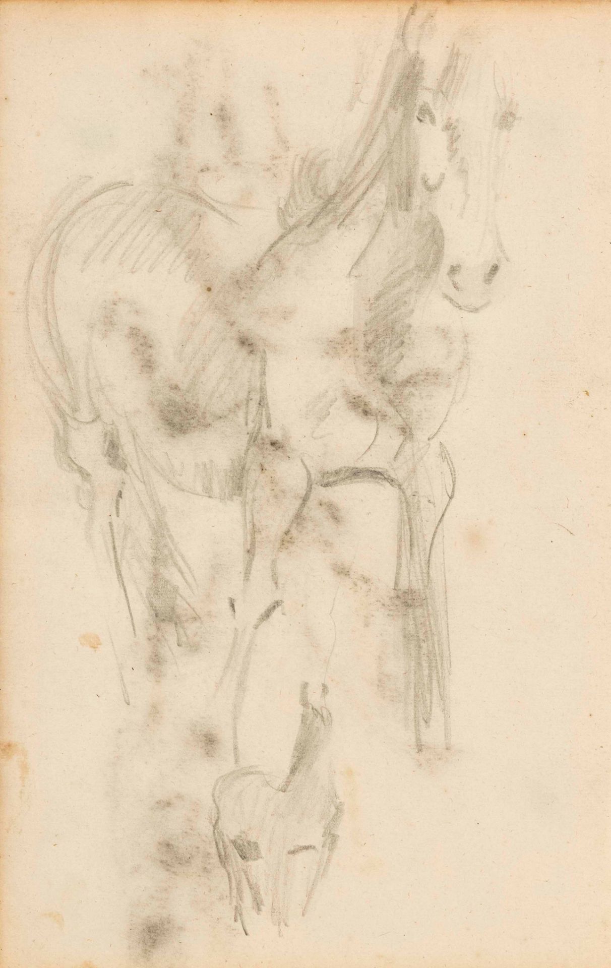 Focke, Wilhelm H. 1878 - Bremen - 1974. 3 washed charcoal/pencil drawings/paper, horse studies, - Image 2 of 3