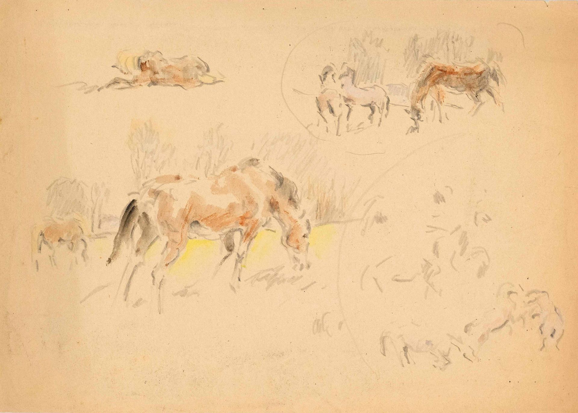 Focke, Wilhelm H. 1878 - Bremen - 1974. 2 watercolor pencil drawings/paper, horse studies, unsigned,