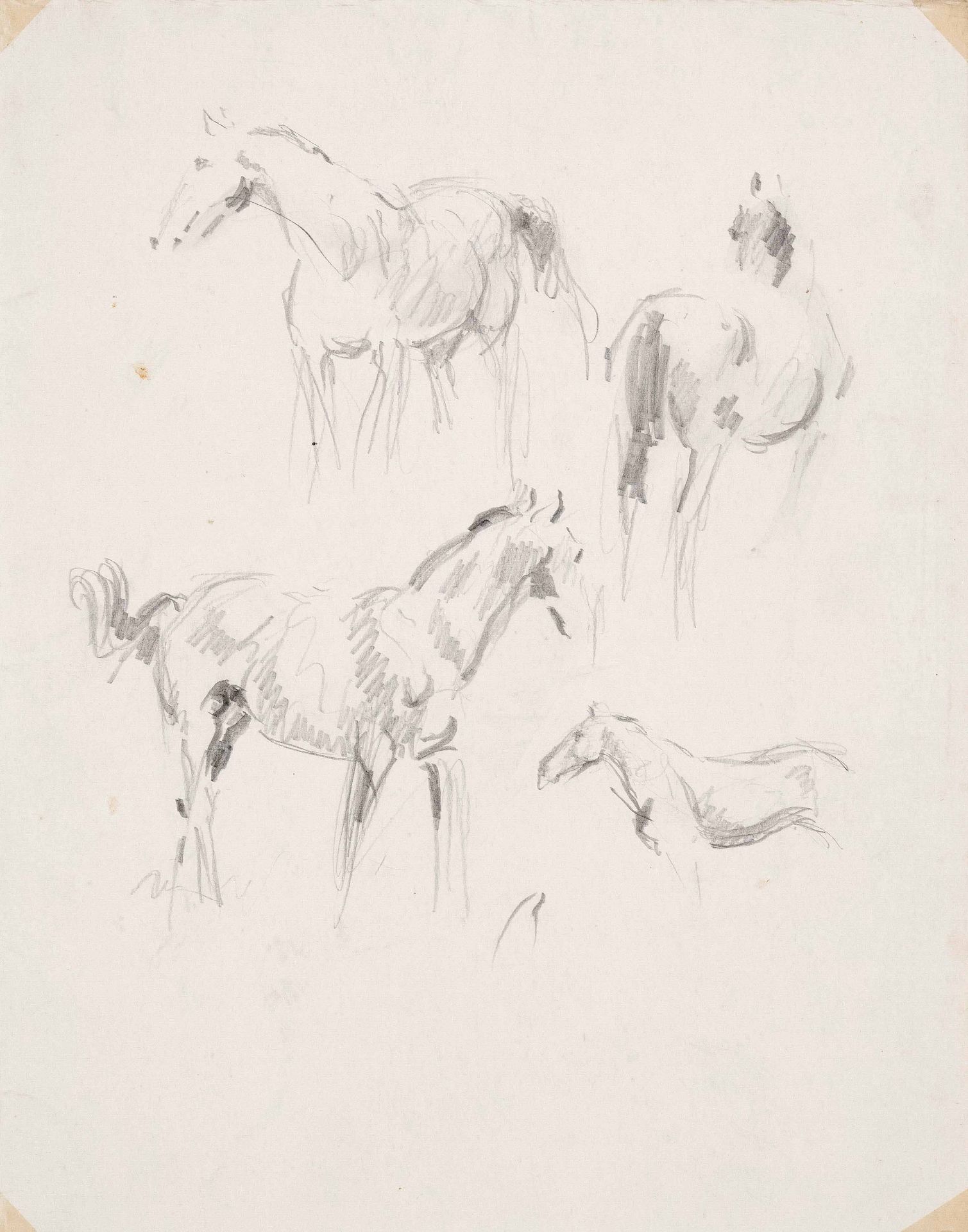 Focke, Wilhelm H. 1878 - Bremen - 1974. 2 pencil drawings/solid paper, horse studies, verso horse - Image 2 of 2