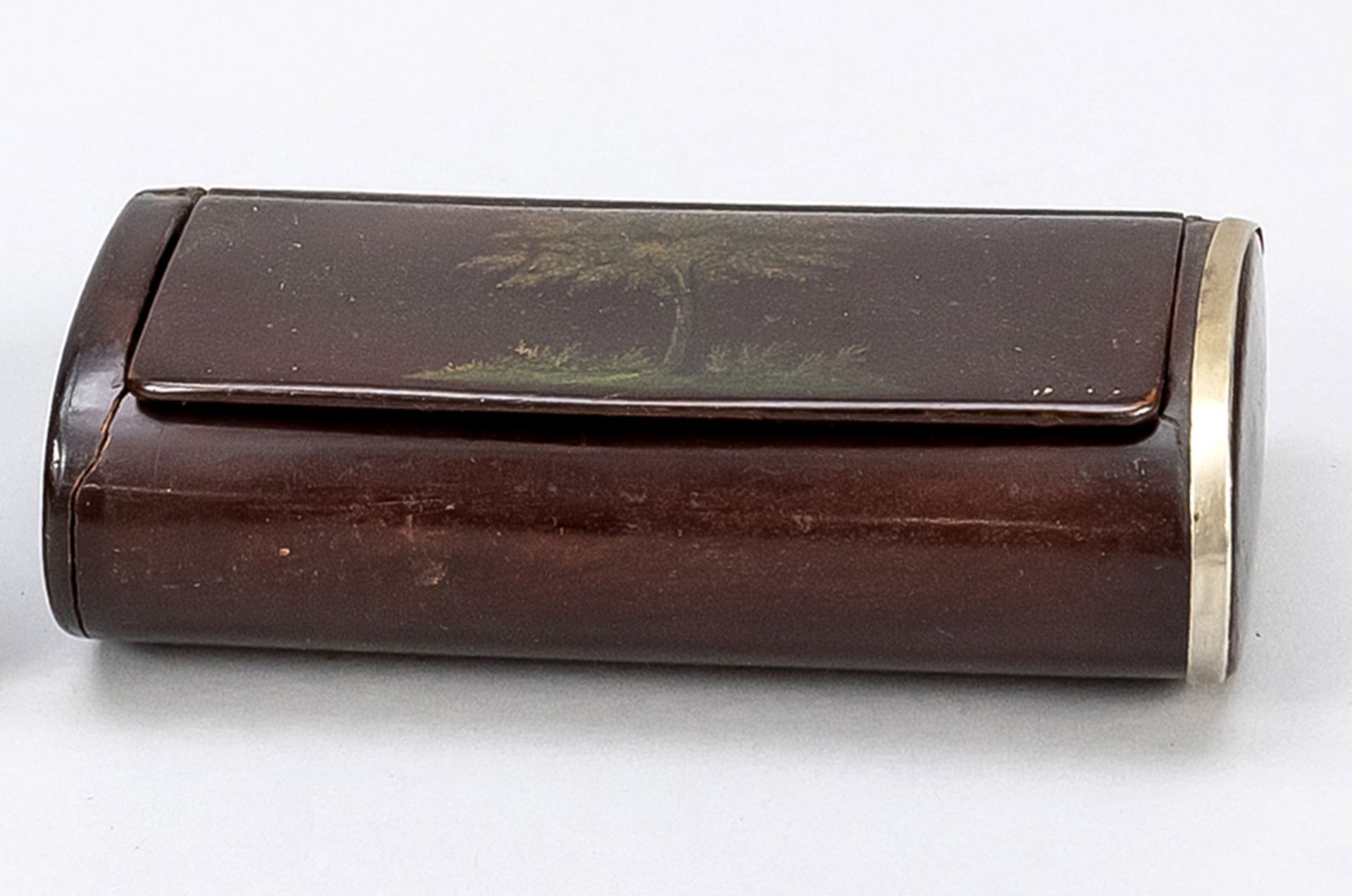 Tobacco box, end of 19th c., dark precious wood, on the lid polychrome painted with blossoming tree.