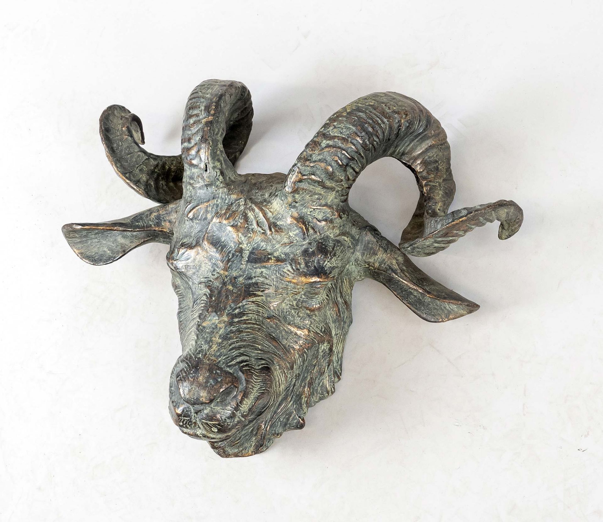 Anonymous sculptor of the 20th century, large head of a goat for wall hanging, patinated bronze,