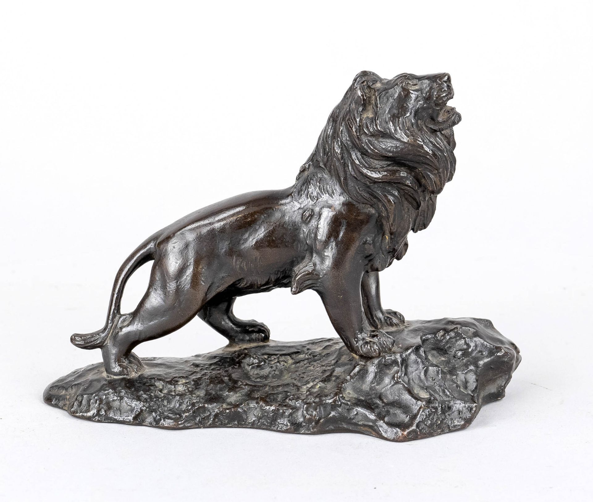 Japanese sculptor around 1900, rising lion on terrain plinth, dark brown patinated bronze,