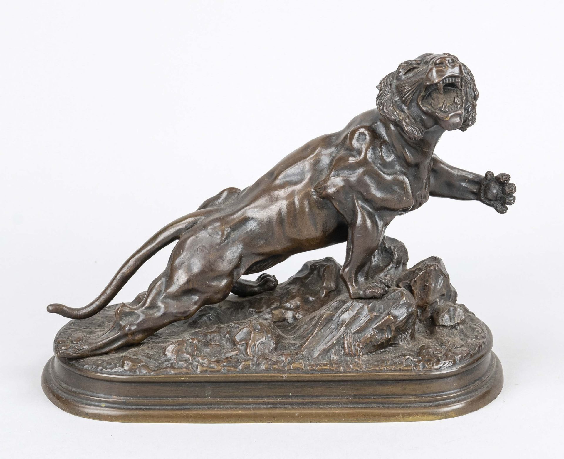 J. Hesteau, French animal sculptor early 20th c. snarling tiger with raised paw, brown patinated