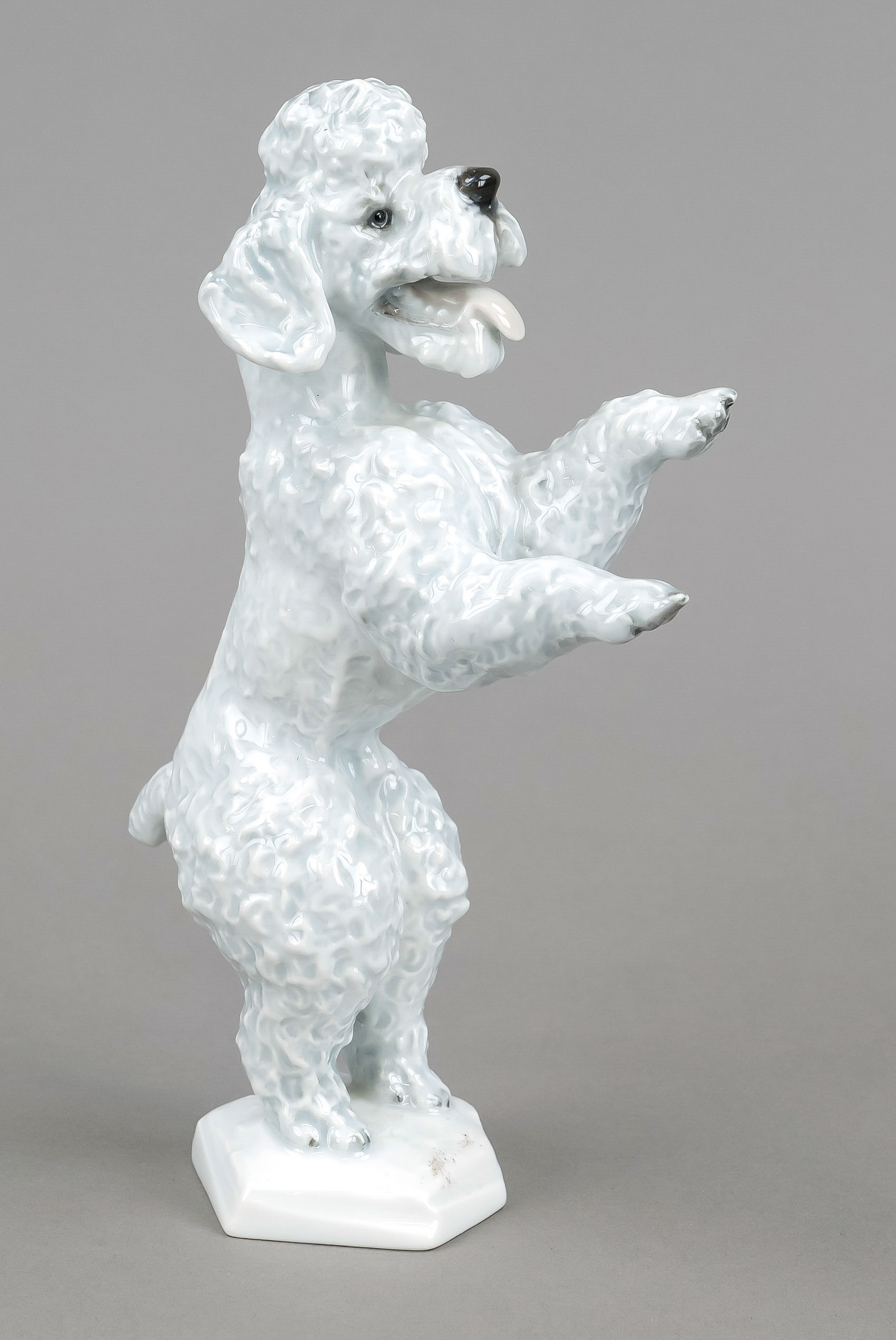 Poodle, making male, Rosenthal, mark after 1957, design Fritz Heidenreich, inscribed in the base,