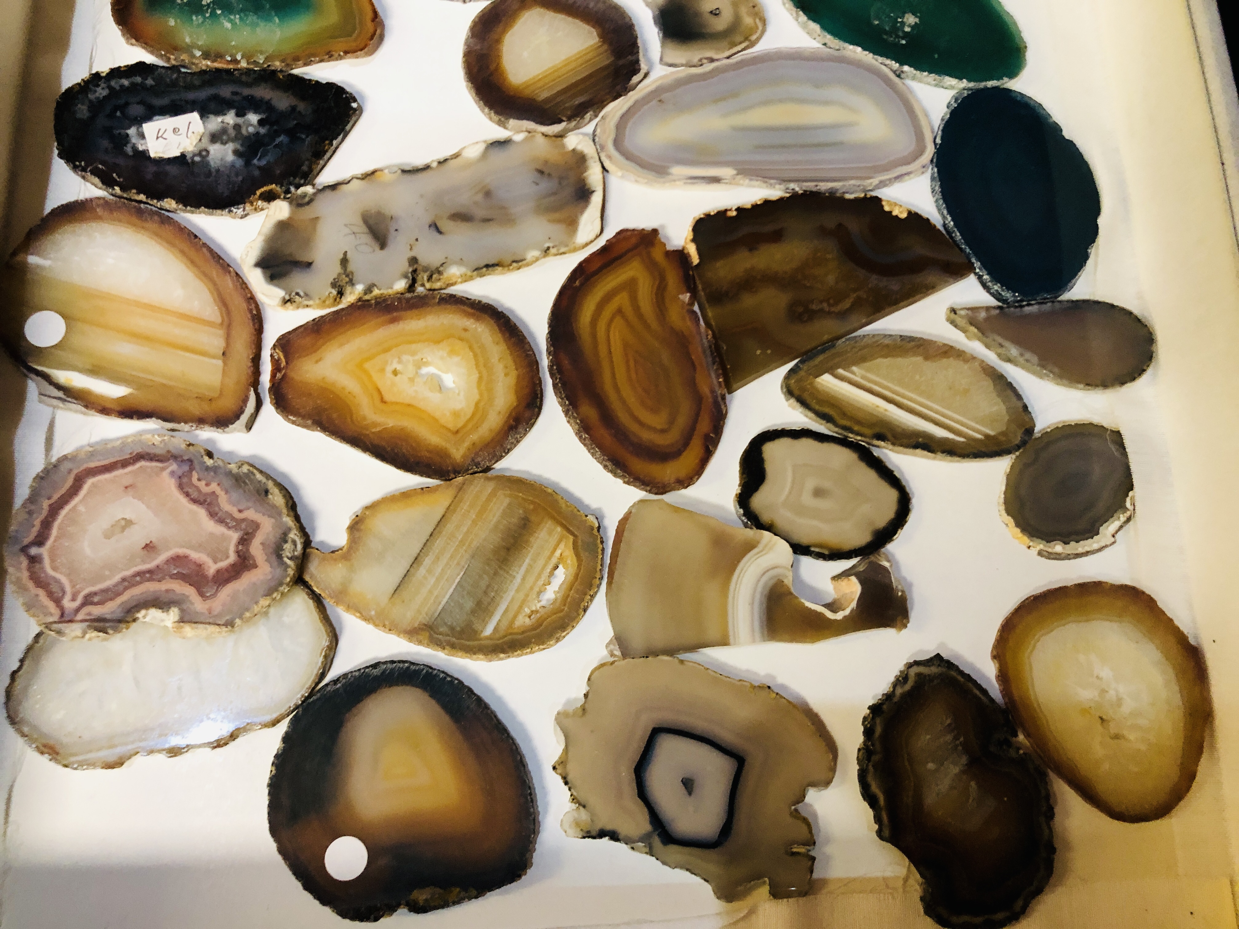 A COLLECTION OF APPROX 28 POLISHED AGATE SLICES. - Image 3 of 3