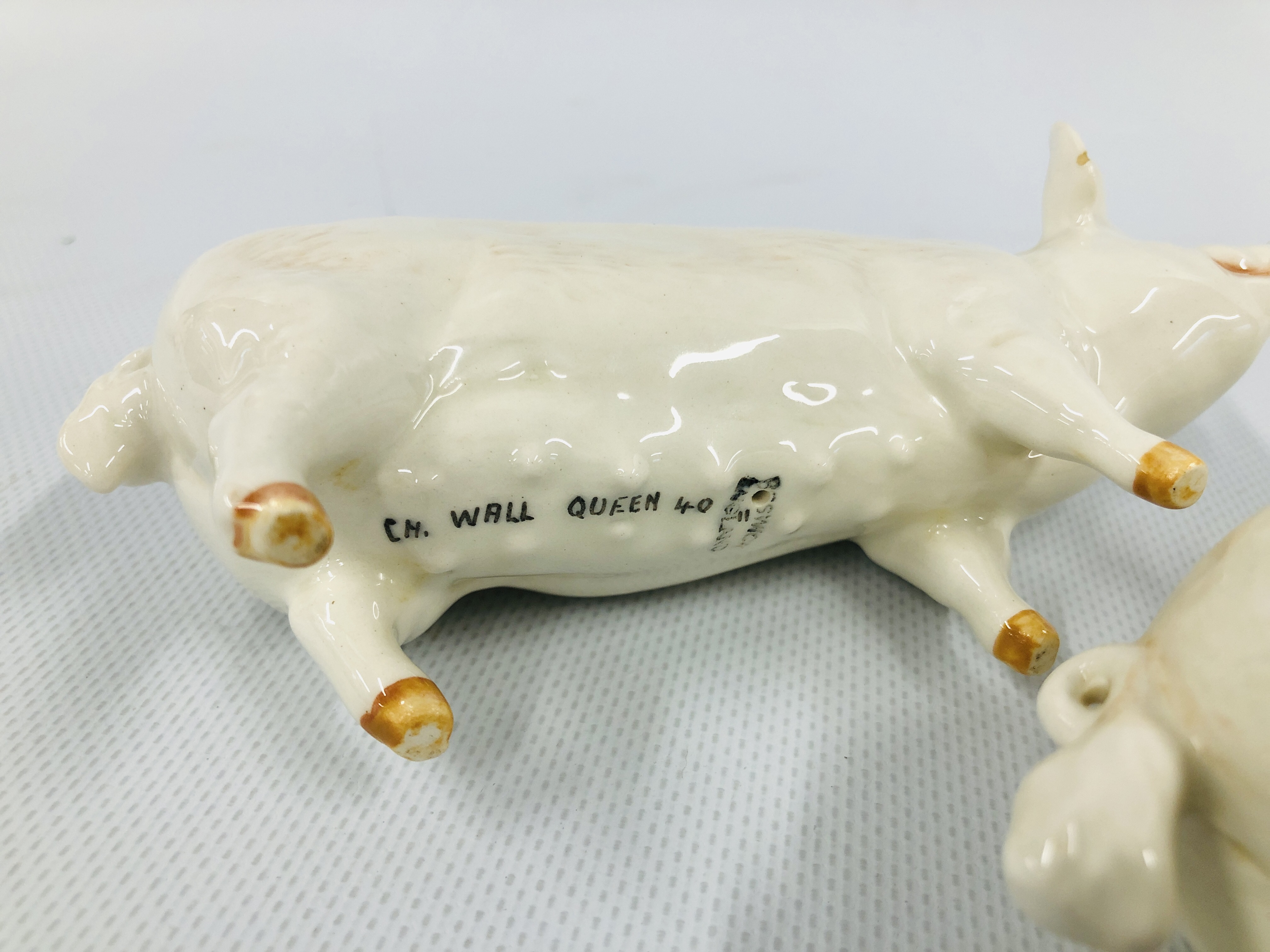 TWO BESWICK PIGS TO INCLUDE CH WALL CHAMPION BOY 53 AND CH WALL QUEEN 40 - Image 6 of 7