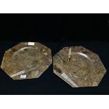 A PAIR OF OCTAGONAL FOSSIL PLATES CUT FROM THE ATLAS MOUNTAIN MAROCCO, W 40CM X H 40CM.