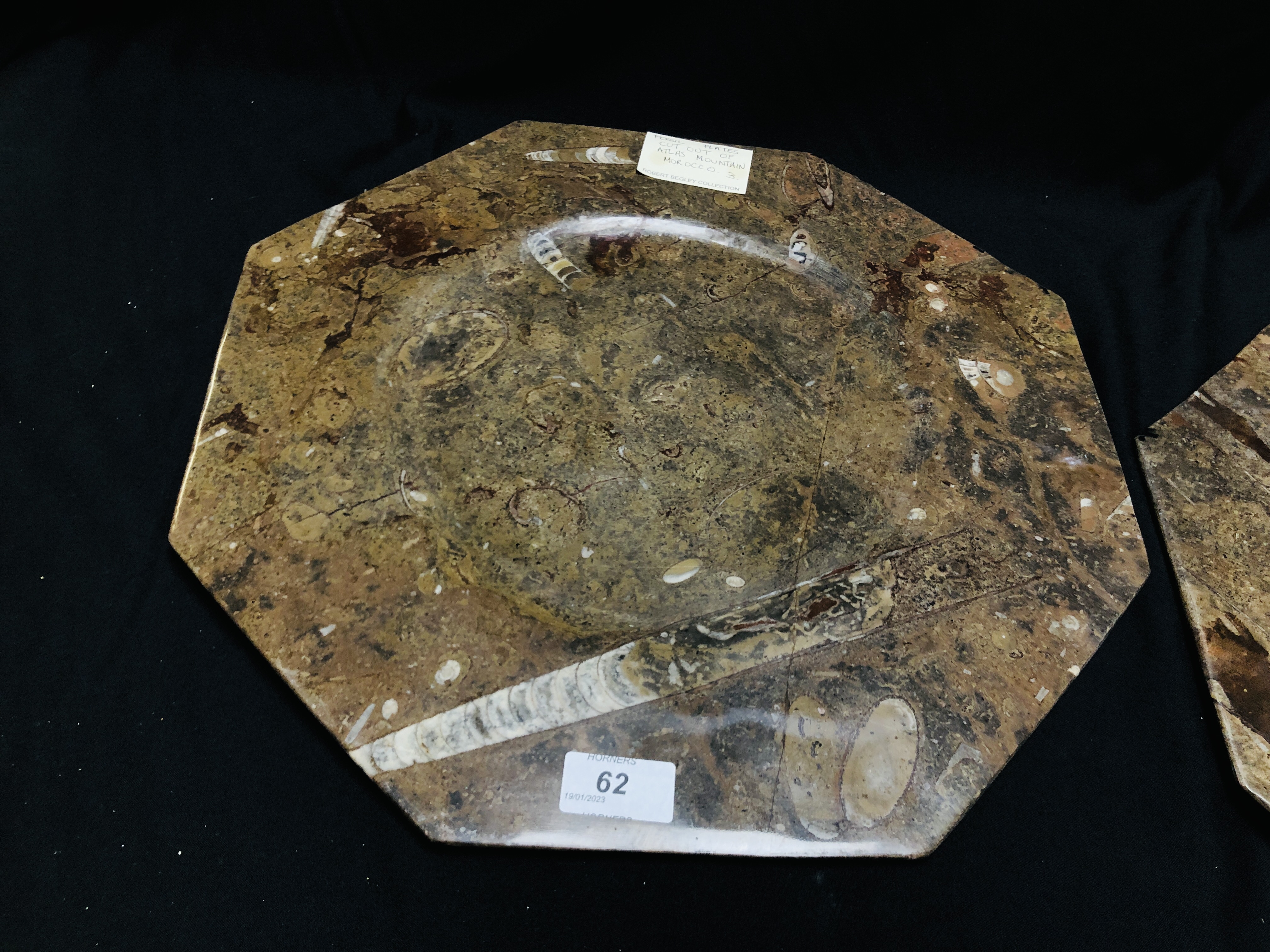 A PAIR OF OCTAGONAL FOSSIL PLATES CUT FROM THE ATLAS MOUNTAIN MAROCCO, W 40CM X H 40CM. - Image 3 of 7