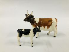 BESWICK COW CH ICKHAM BESSIE 198 (HORN A/F) ALONG WITH A BLACK AND WHITE BESWICK CALF