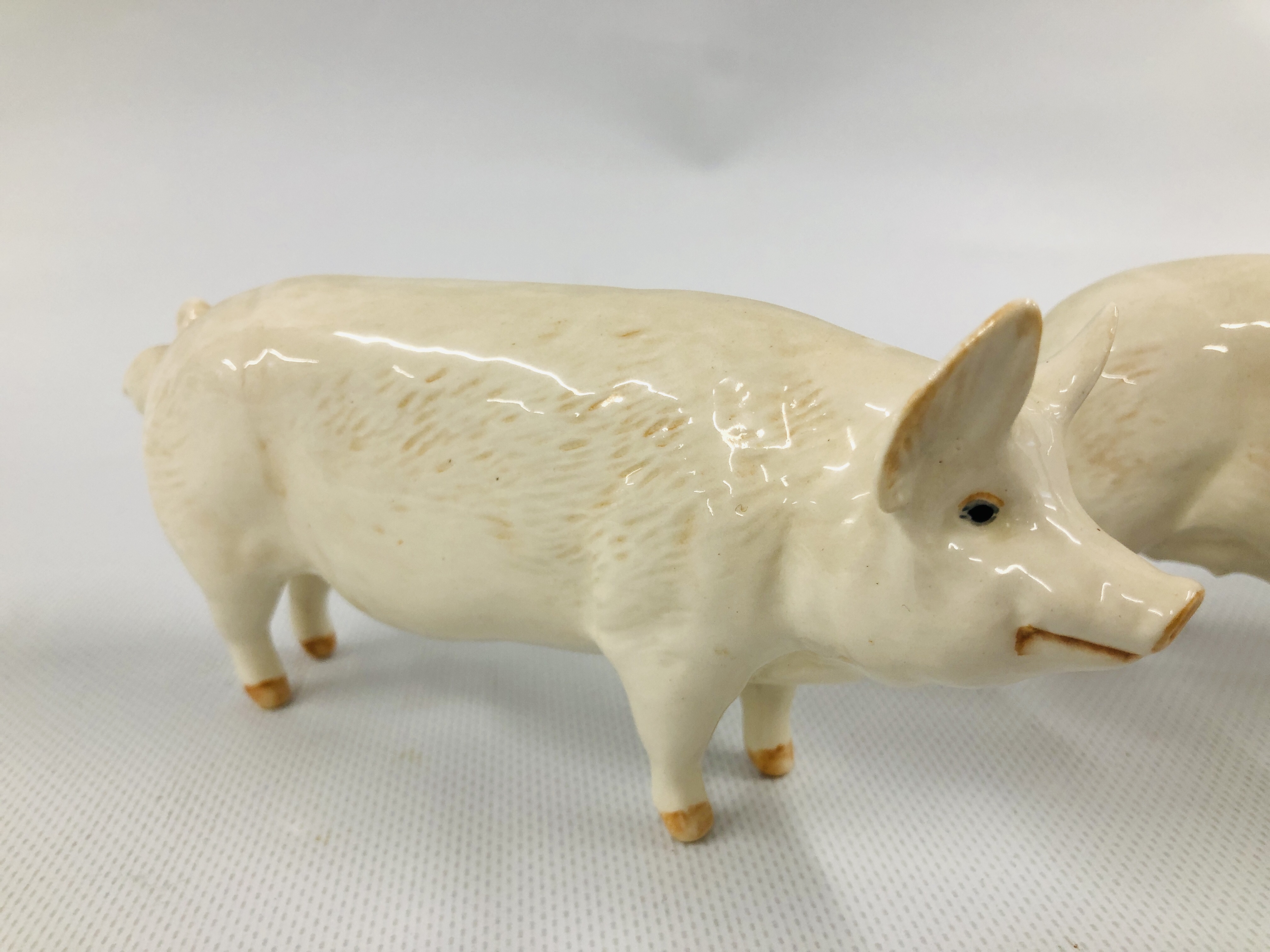 TWO BESWICK PIGS TO INCLUDE CH WALL CHAMPION BOY 53 AND CH WALL QUEEN 40 - Image 3 of 7