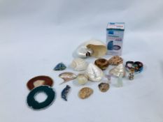 A COLLECTION OF SHELLS, HARD STONE EGGS, TWO CRYSTAL SLICES,