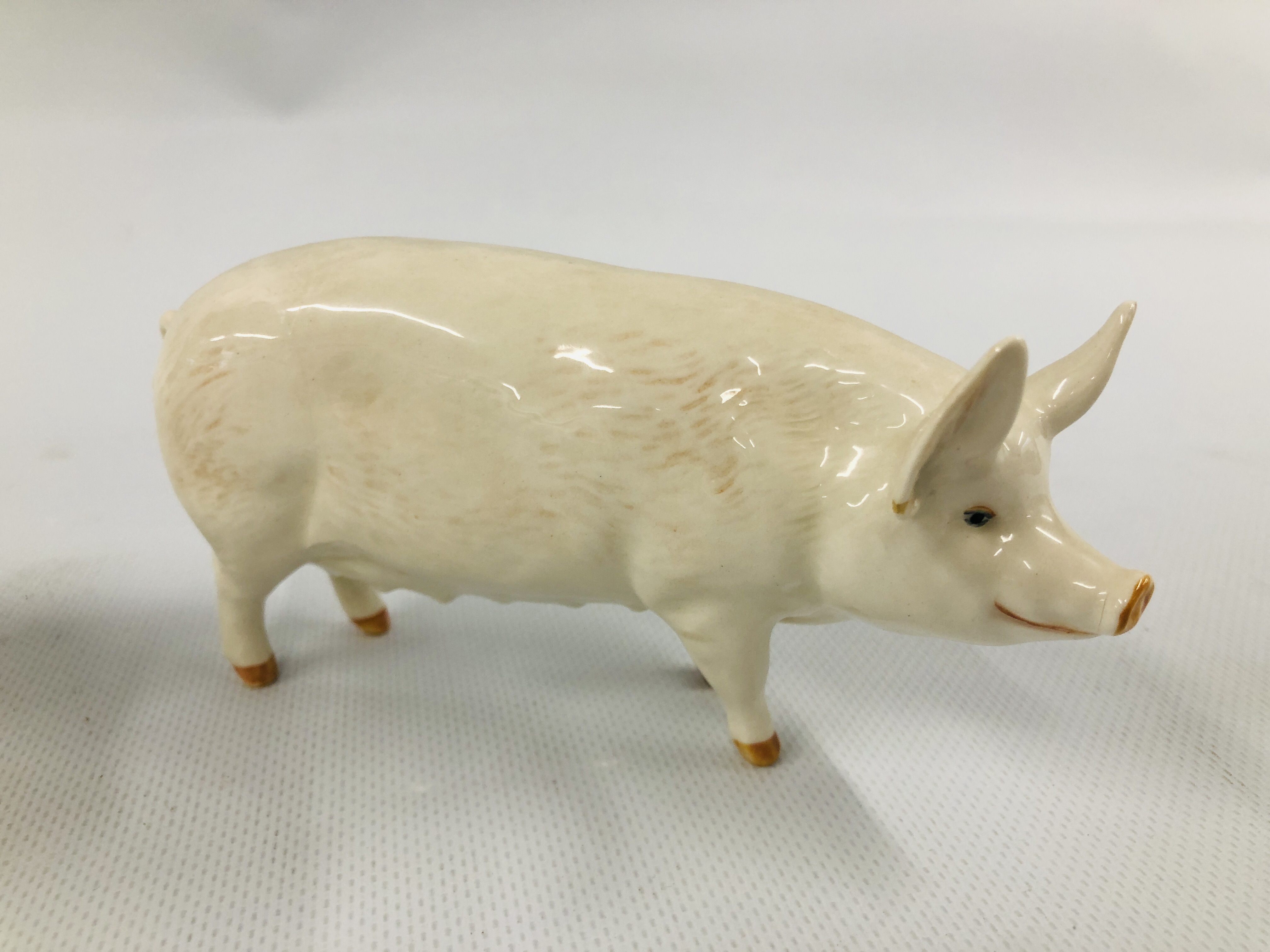 TWO BESWICK PIGS TO INCLUDE CH WALL CHAMPION BOY 53 AND CH WALL QUEEN 40 - Image 2 of 7