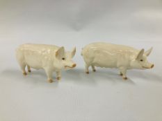 TWO BESWICK PIGS TO INCLUDE CH WALL CHAMPION BOY 53 AND CH WALL QUEEN 40