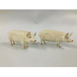 TWO BESWICK PIGS TO INCLUDE CH WALL CHAMPION BOY 53 AND CH WALL QUEEN 40