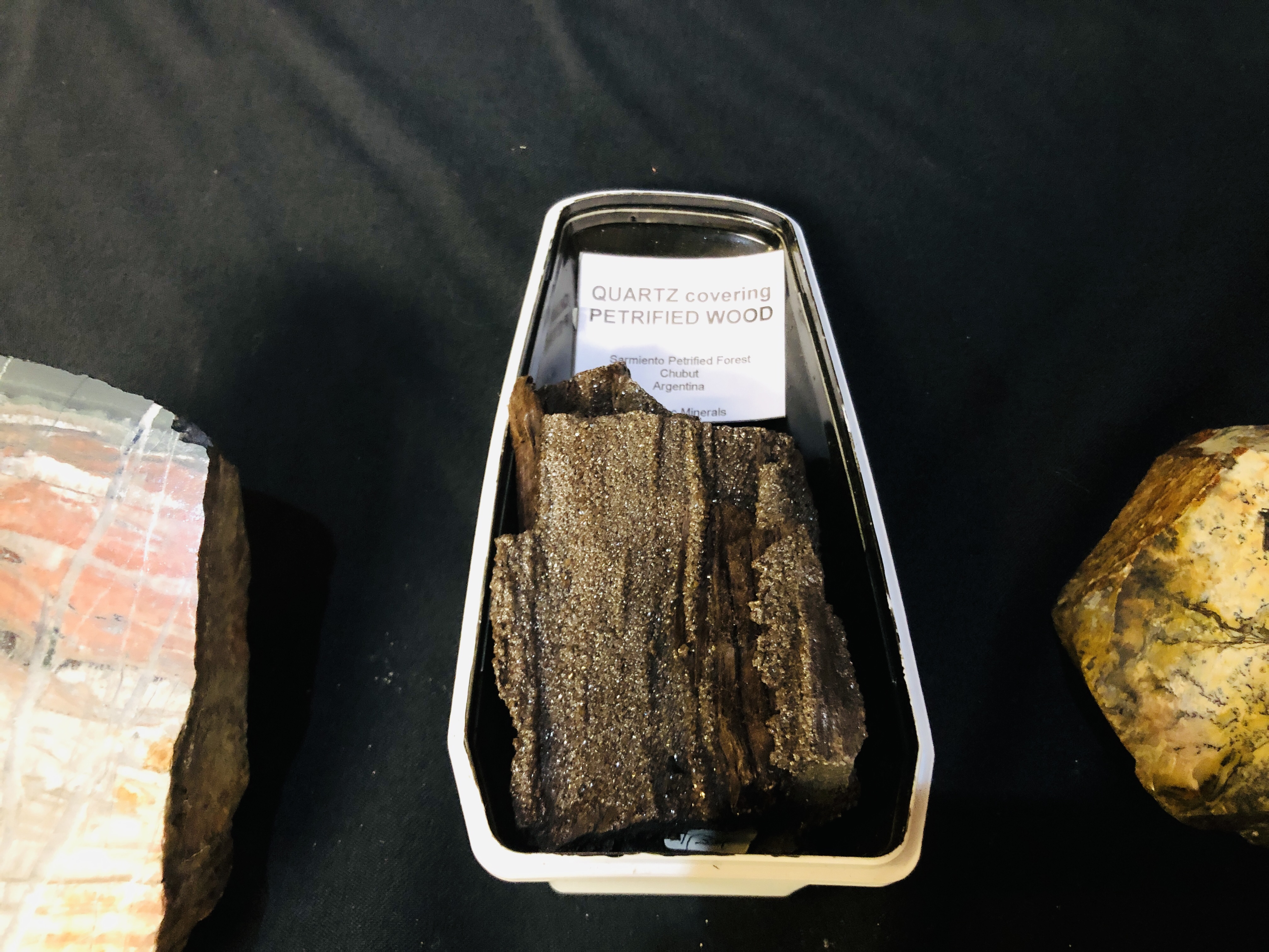 A GROUP OF 3 POLISHED SEGMENT TO INCLUDE FOSSILISED WOOD ALONG WITH A QUARTZ COVERING PETRIFIED - Image 4 of 5