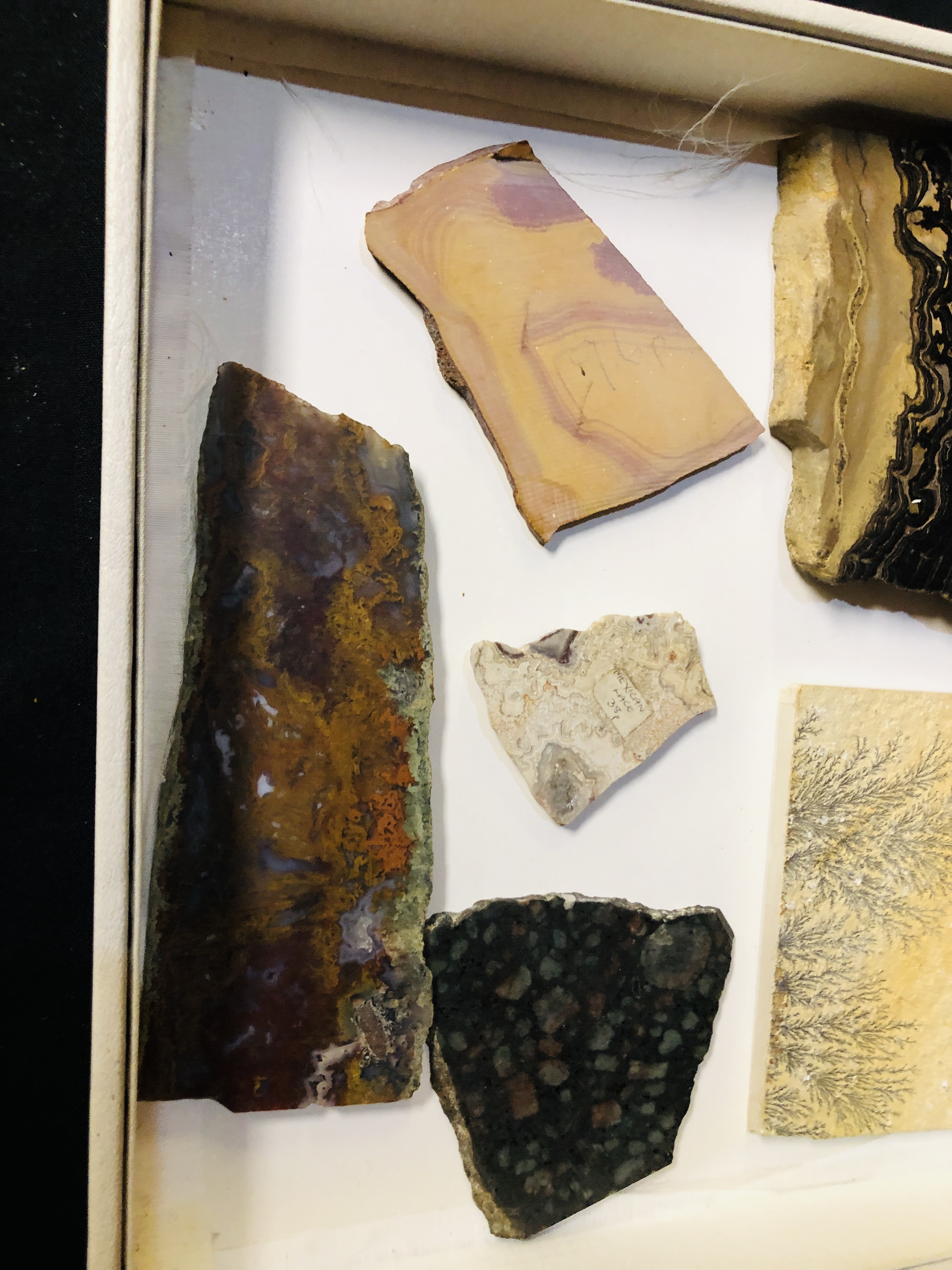A COLLECTION OF APPROX 8 AGATE AND MARBLE SLICES TO INCLUDE COTHAM MARBLE ETC. - Image 2 of 3