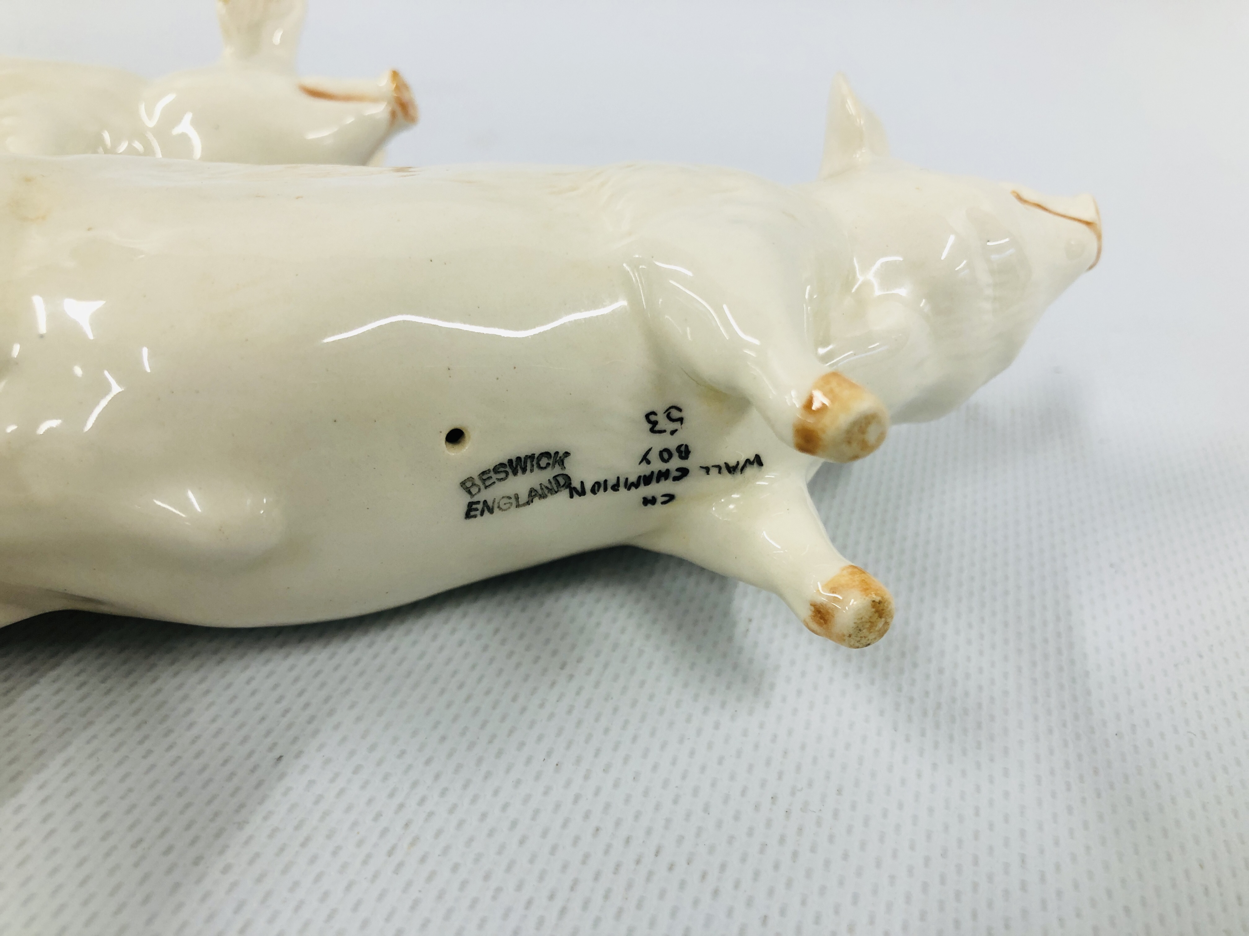 TWO BESWICK PIGS TO INCLUDE CH WALL CHAMPION BOY 53 AND CH WALL QUEEN 40 - Image 7 of 7