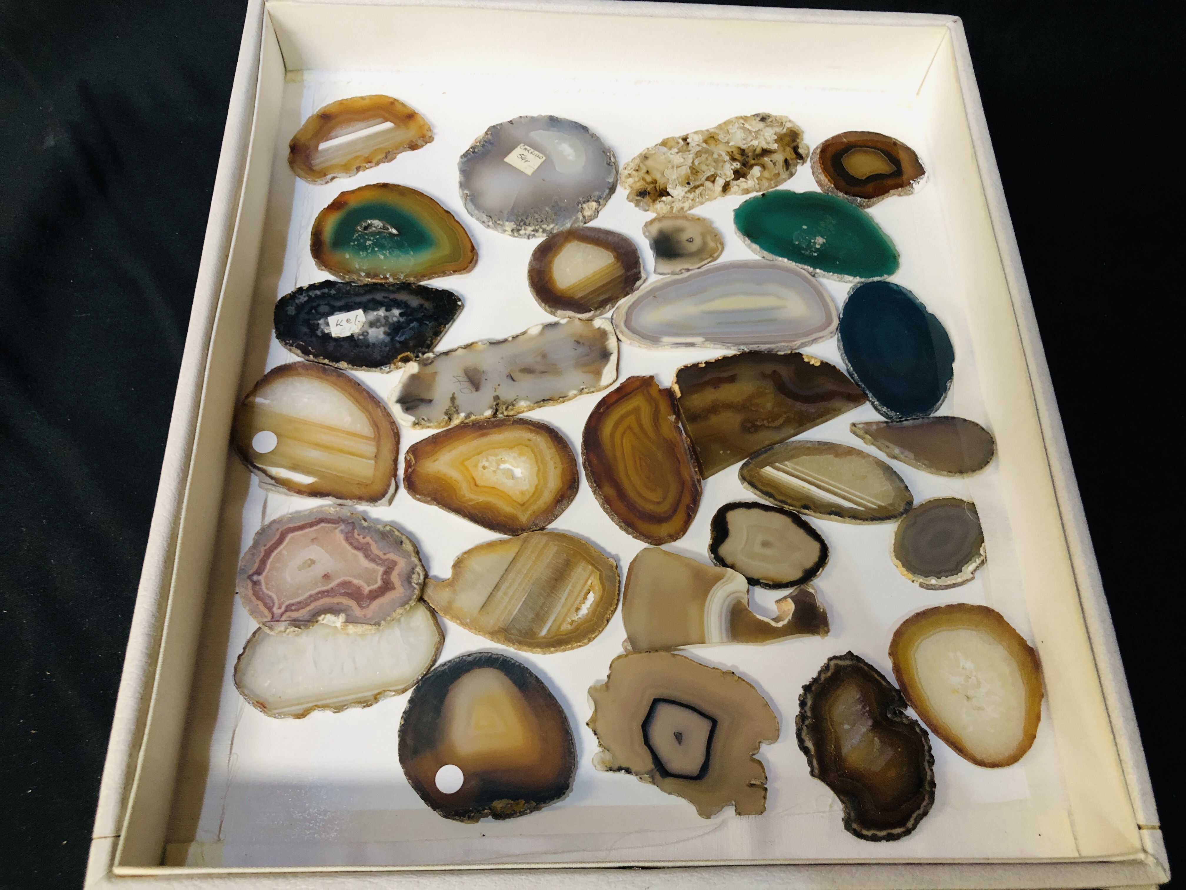 A COLLECTION OF APPROX 28 POLISHED AGATE SLICES.