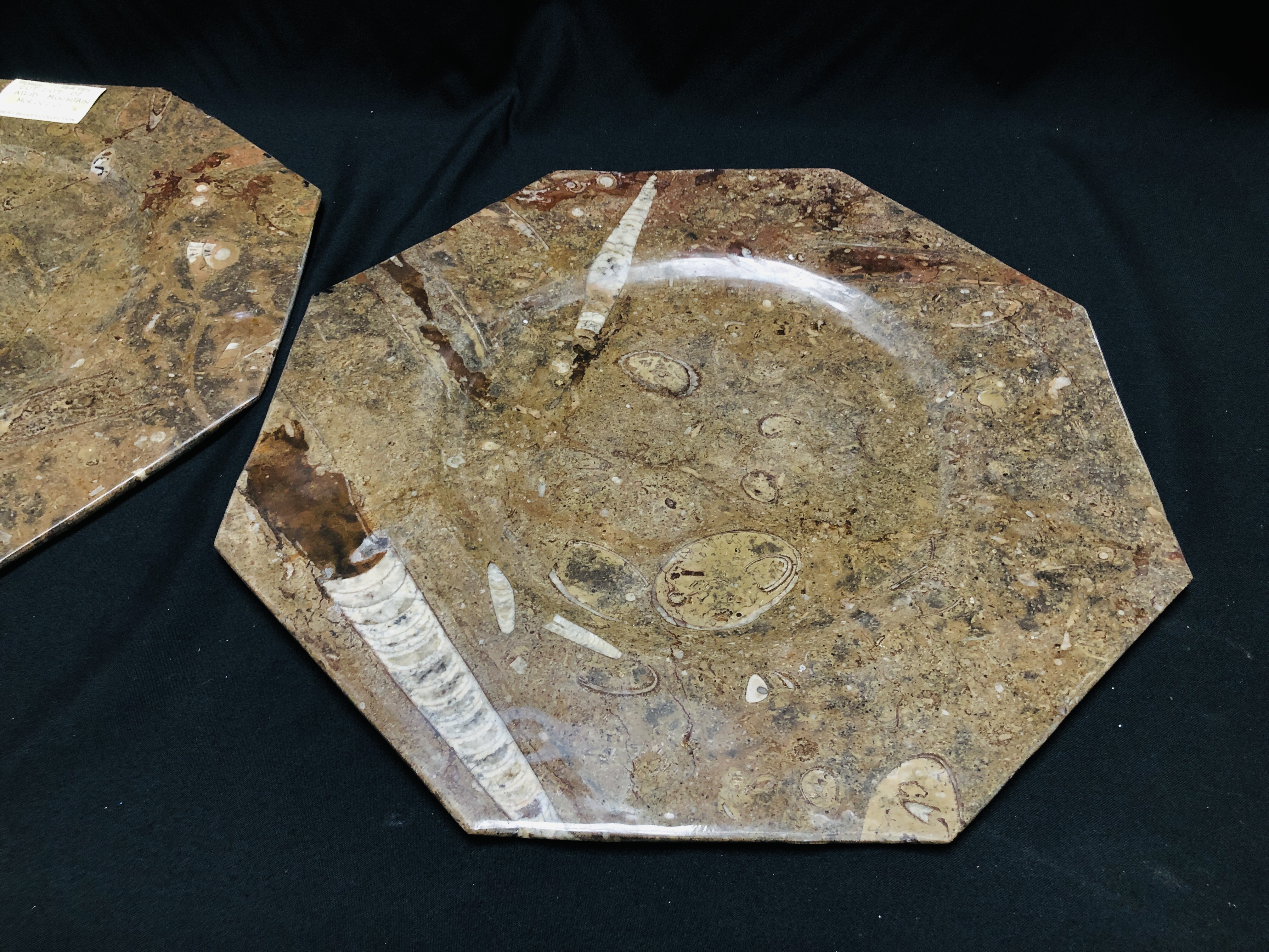A PAIR OF OCTAGONAL FOSSIL PLATES CUT FROM THE ATLAS MOUNTAIN MAROCCO, W 40CM X H 40CM. - Image 2 of 7