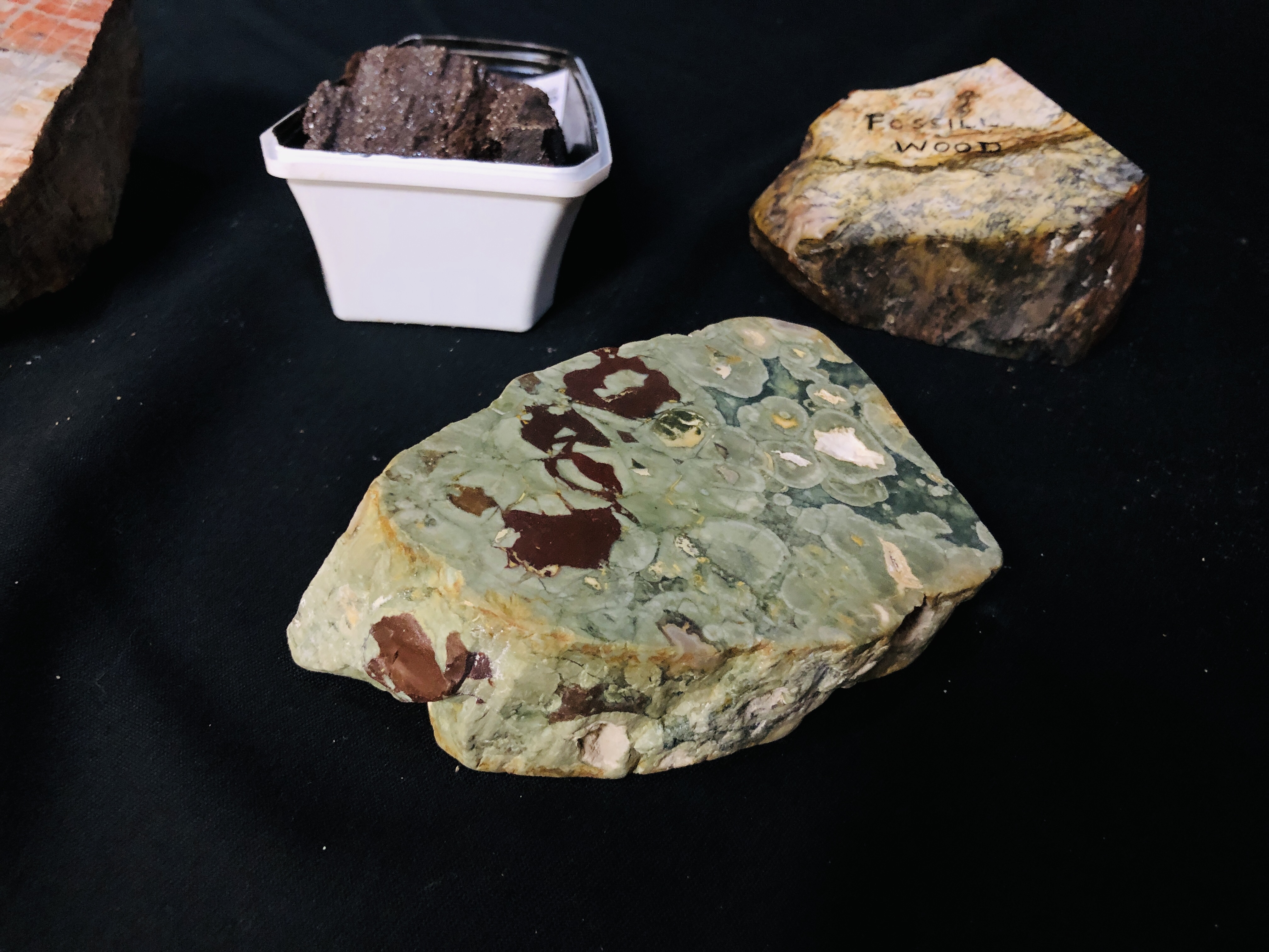 A GROUP OF 3 POLISHED SEGMENT TO INCLUDE FOSSILISED WOOD ALONG WITH A QUARTZ COVERING PETRIFIED - Image 2 of 5