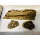 A GROUP OF 3 FOSSILISED WOOD EXAMPLES.