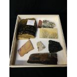 A COLLECTION OF APPROX 8 AGATE AND MARBLE SLICES TO INCLUDE COTHAM MARBLE ETC.