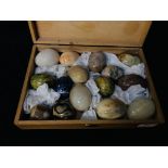 A COLLECTION OF APPROX 15 POLISHED HARD STONE EGGS TO INCLUDE CRYSTAL, QUARTZ AND ONYX EXAMPLES.