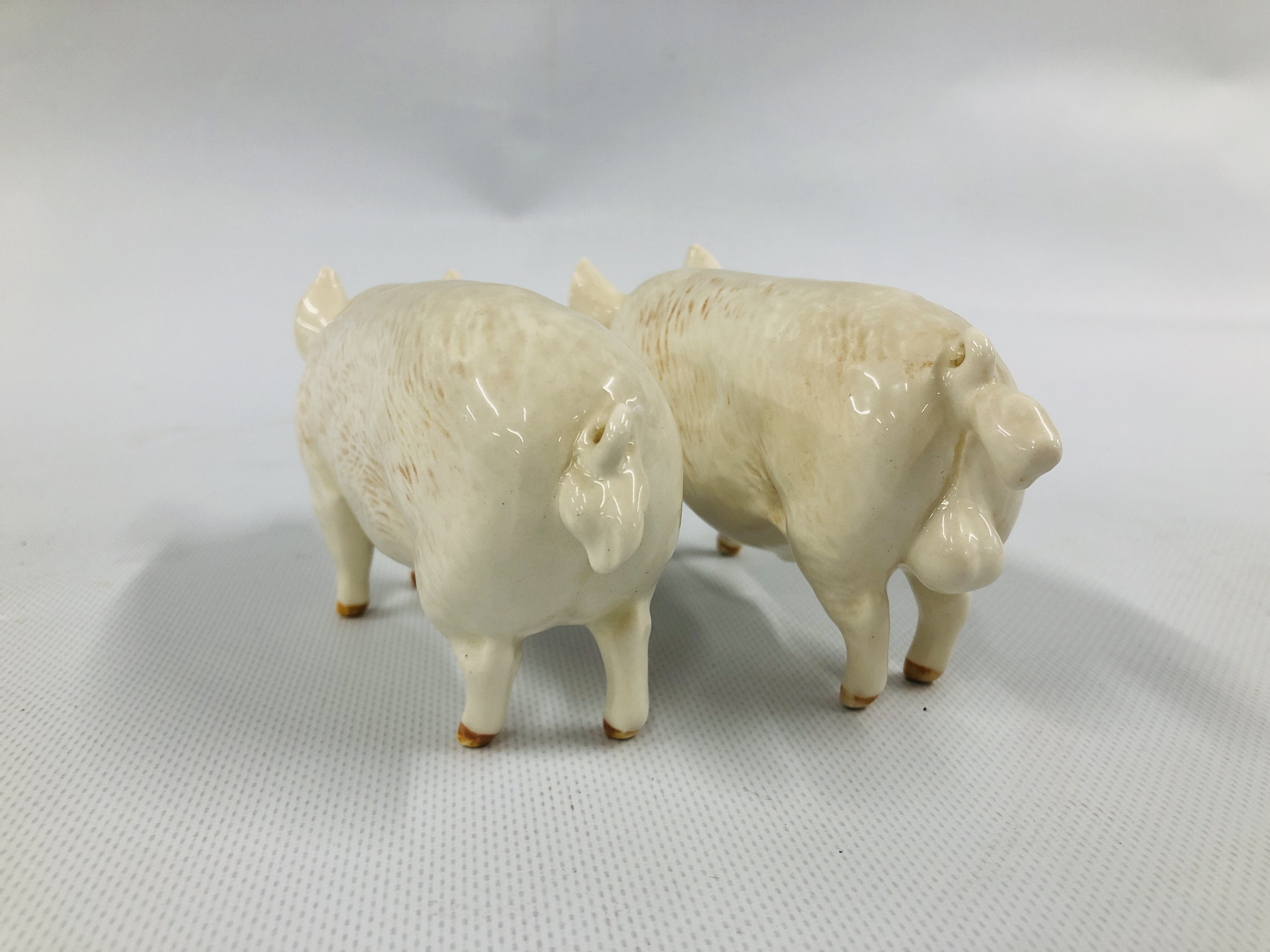 TWO BESWICK PIGS TO INCLUDE CH WALL CHAMPION BOY 53 AND CH WALL QUEEN 40 - Image 5 of 7