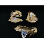 FOUR IMPRESSIVE AGATE AND CRYSTAL SEGMENT, BOTH HAVING POLISHED SURFACE.
