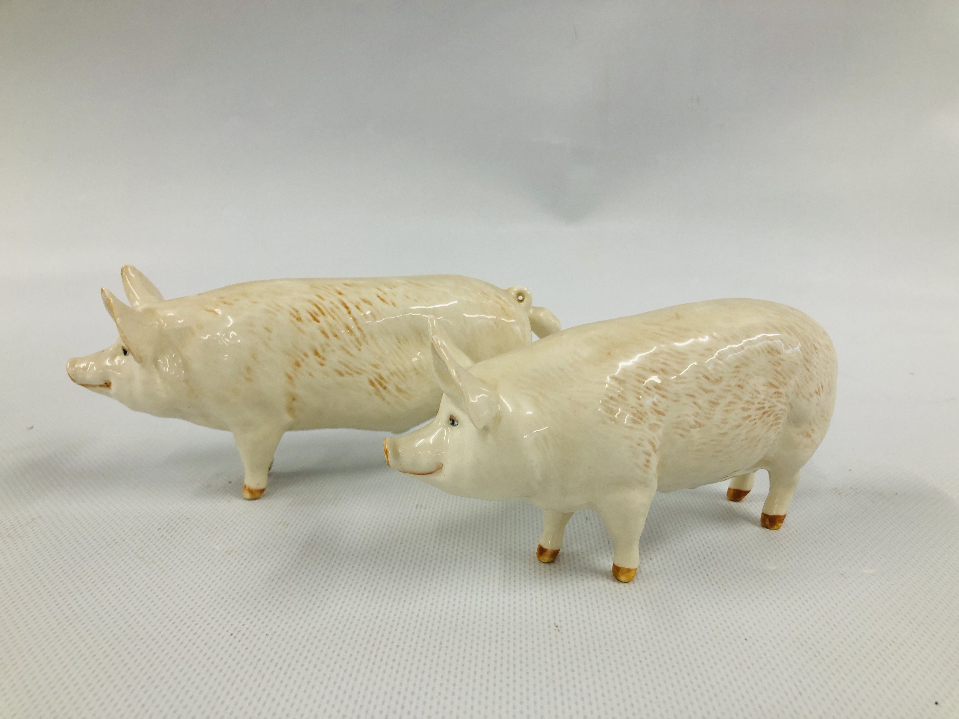 TWO BESWICK PIGS TO INCLUDE CH WALL CHAMPION BOY 53 AND CH WALL QUEEN 40 - Image 4 of 7