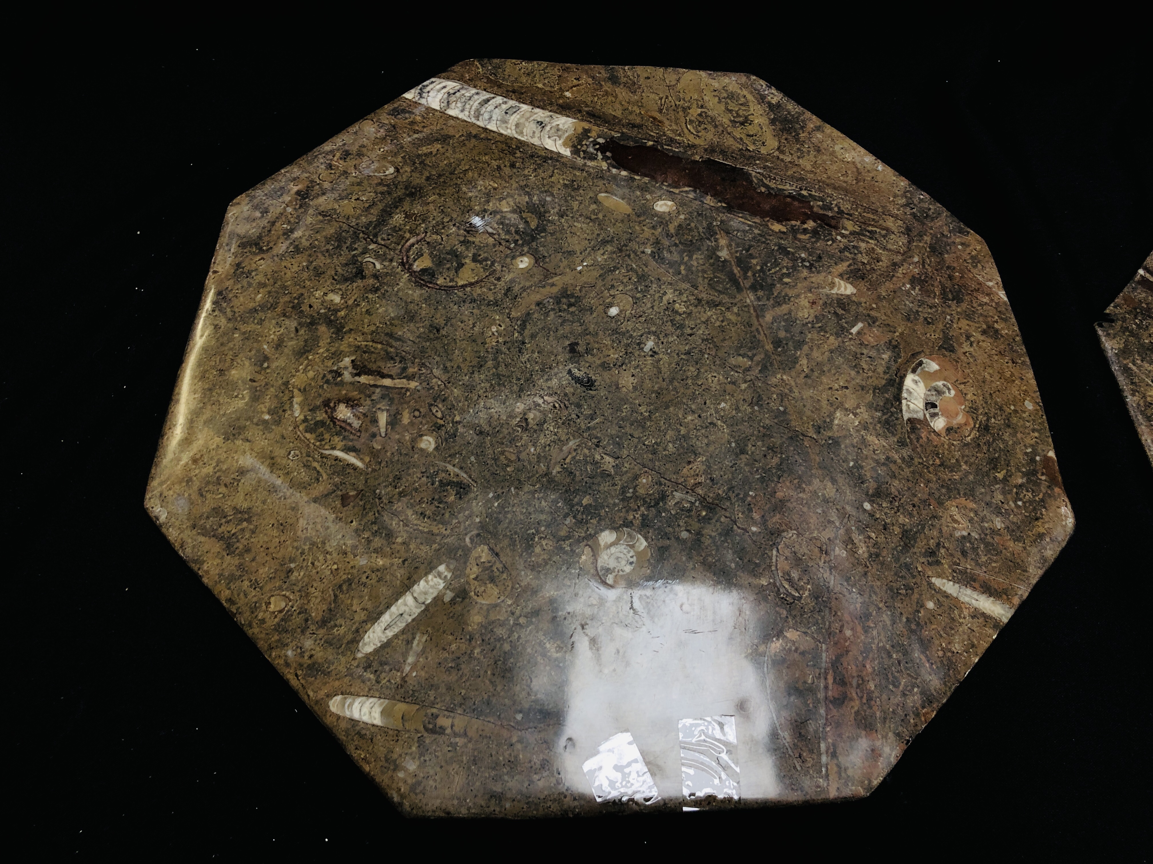 A PAIR OF OCTAGONAL FOSSIL PLATES CUT FROM THE ATLAS MOUNTAIN MAROCCO, W 40CM X H 40CM. - Image 6 of 7