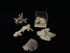 A COLLECTION OF APPROX 5 CRYSTAL, MINERAL AND ROCK EXAMPLES TO INCLUDE QUARTZ NATROLITE ETC.