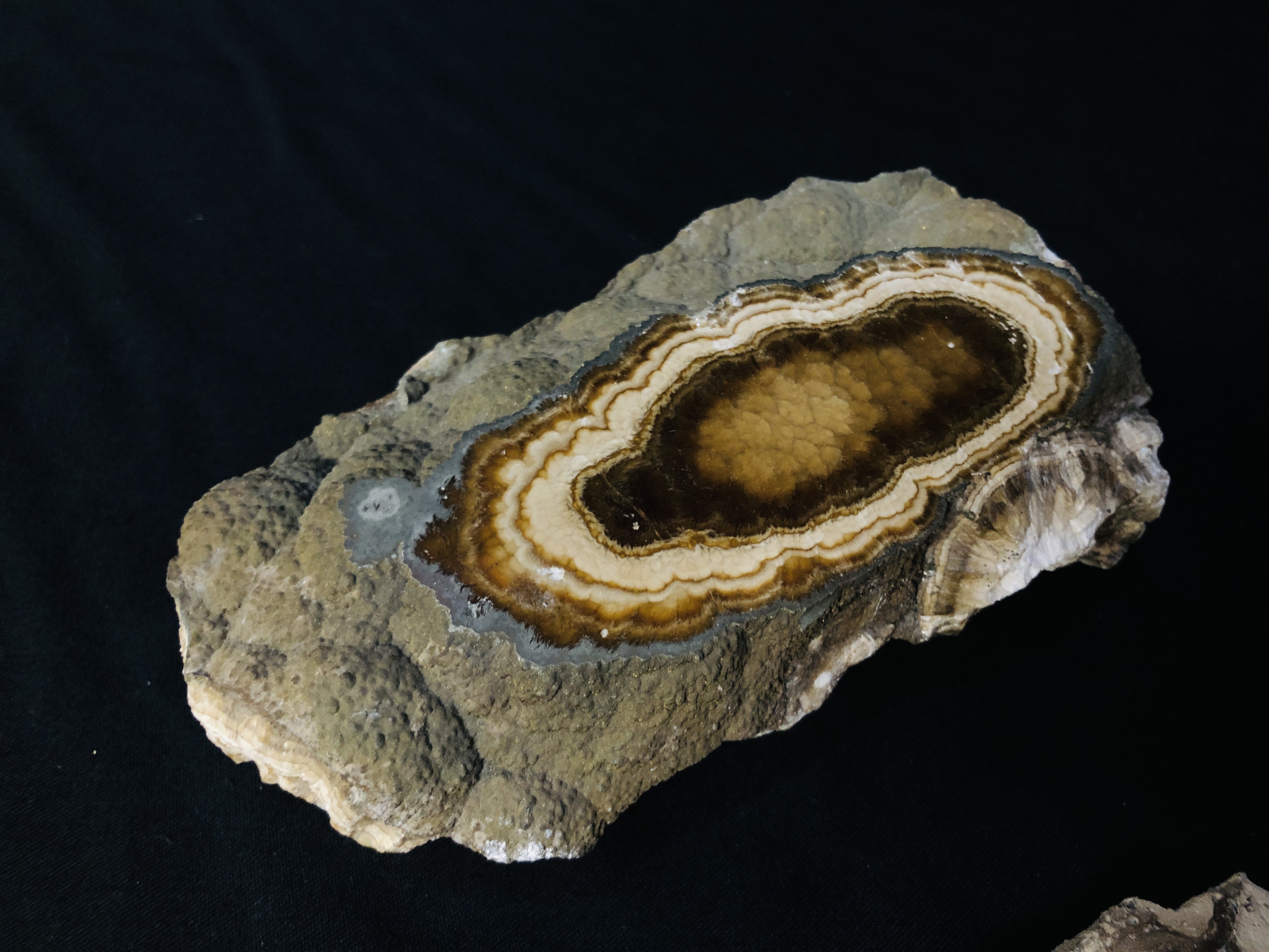 A GROUP OF 4 POLISHED AGATE SEGMENTS TO INCLUDE BARYTE AND MARCASITE. - Image 5 of 5