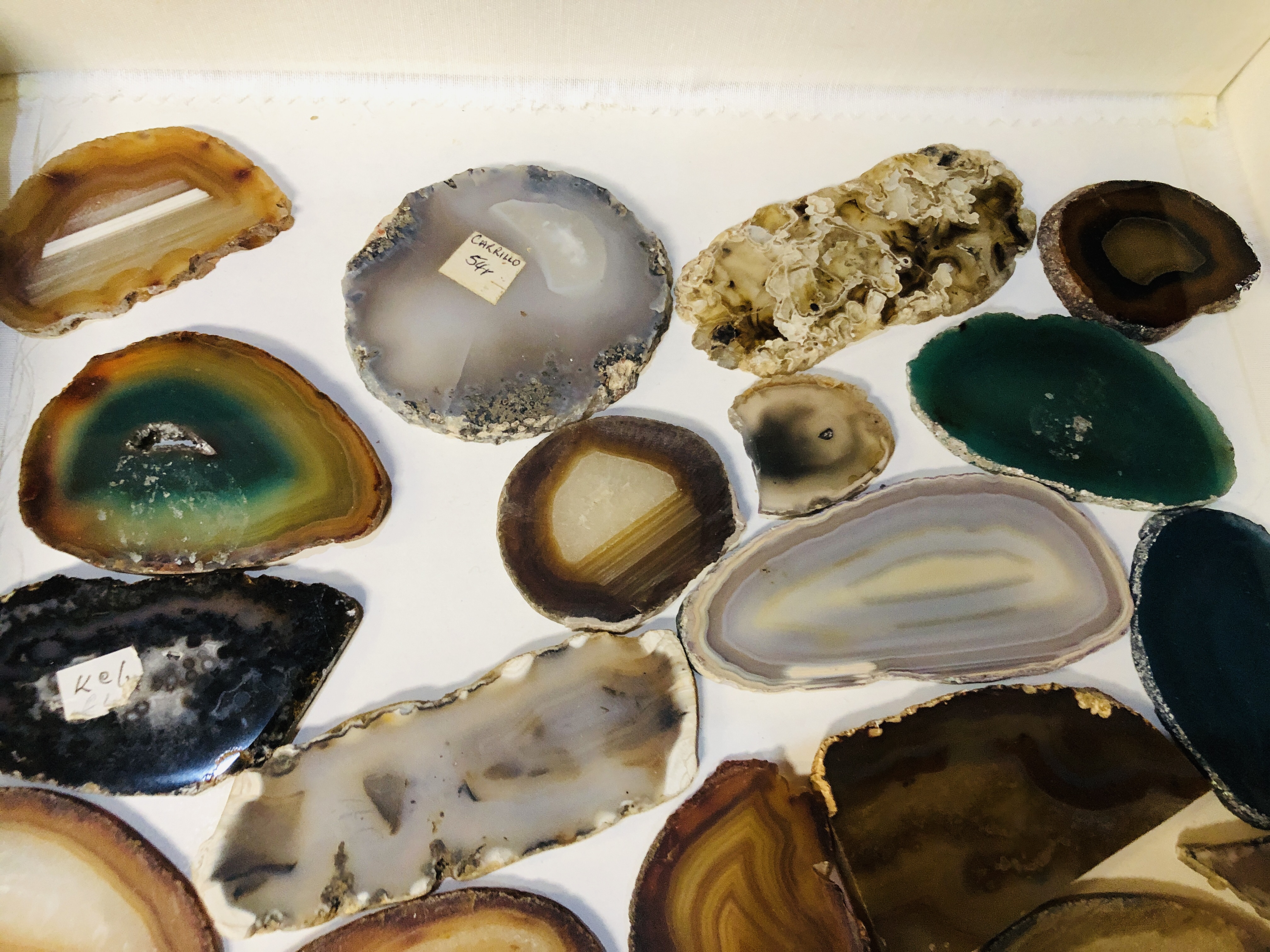 A COLLECTION OF APPROX 28 POLISHED AGATE SLICES. - Image 2 of 3