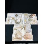 3 X TRAYS OF VARIOUS SEA SHELLS AND URCHINS TO INCLUDE PARECHINIDALE, SAND DOLLAR, SEAHORSES ETC.