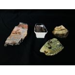 A GROUP OF 3 POLISHED SEGMENT TO INCLUDE FOSSILISED WOOD ALONG WITH A QUARTZ COVERING PETRIFIED
