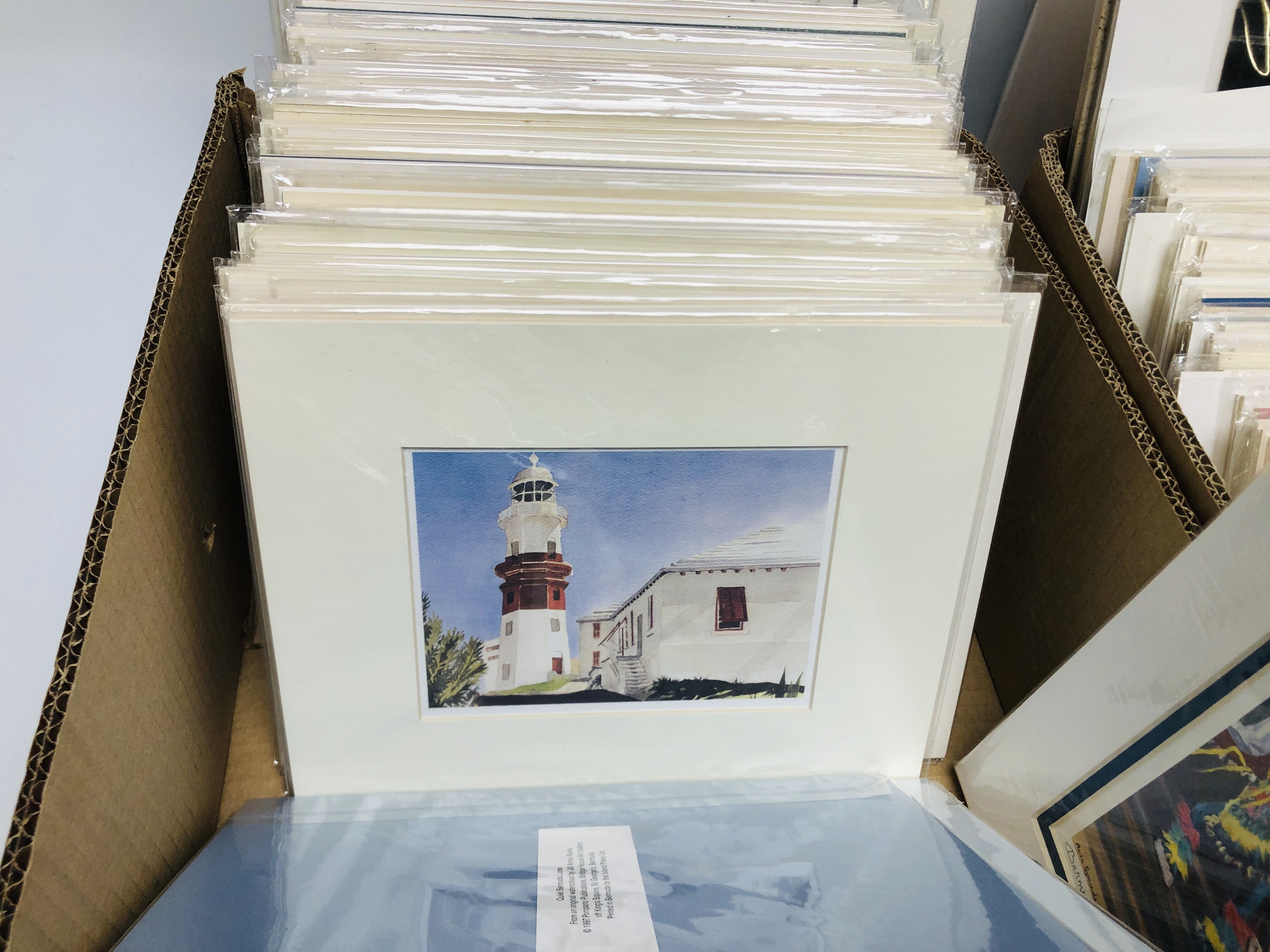 TWO BOXES OF MOUNTED PRINTS DEPICTING MAINLY SCENES OF BERMUDA BEARING PENCIL SIGNATURE DIANA - Image 5 of 11